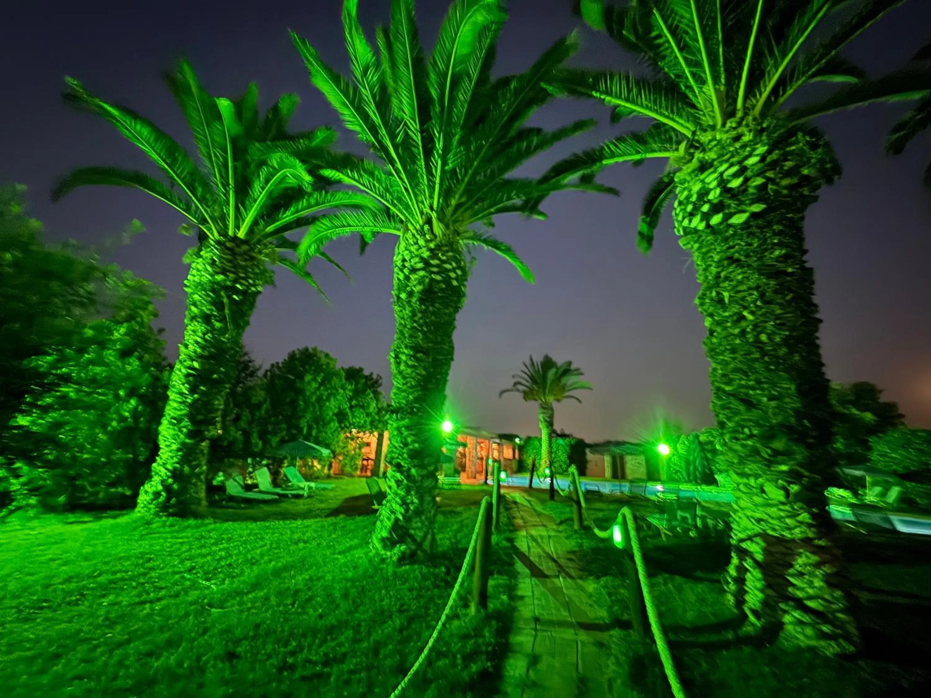 Night in Zac & Georgio Studios