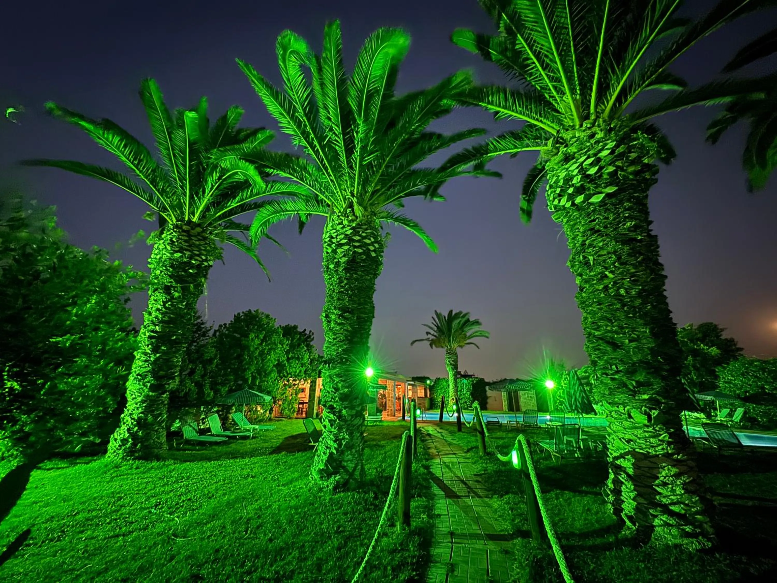 Night in Zac & Georgio Studios