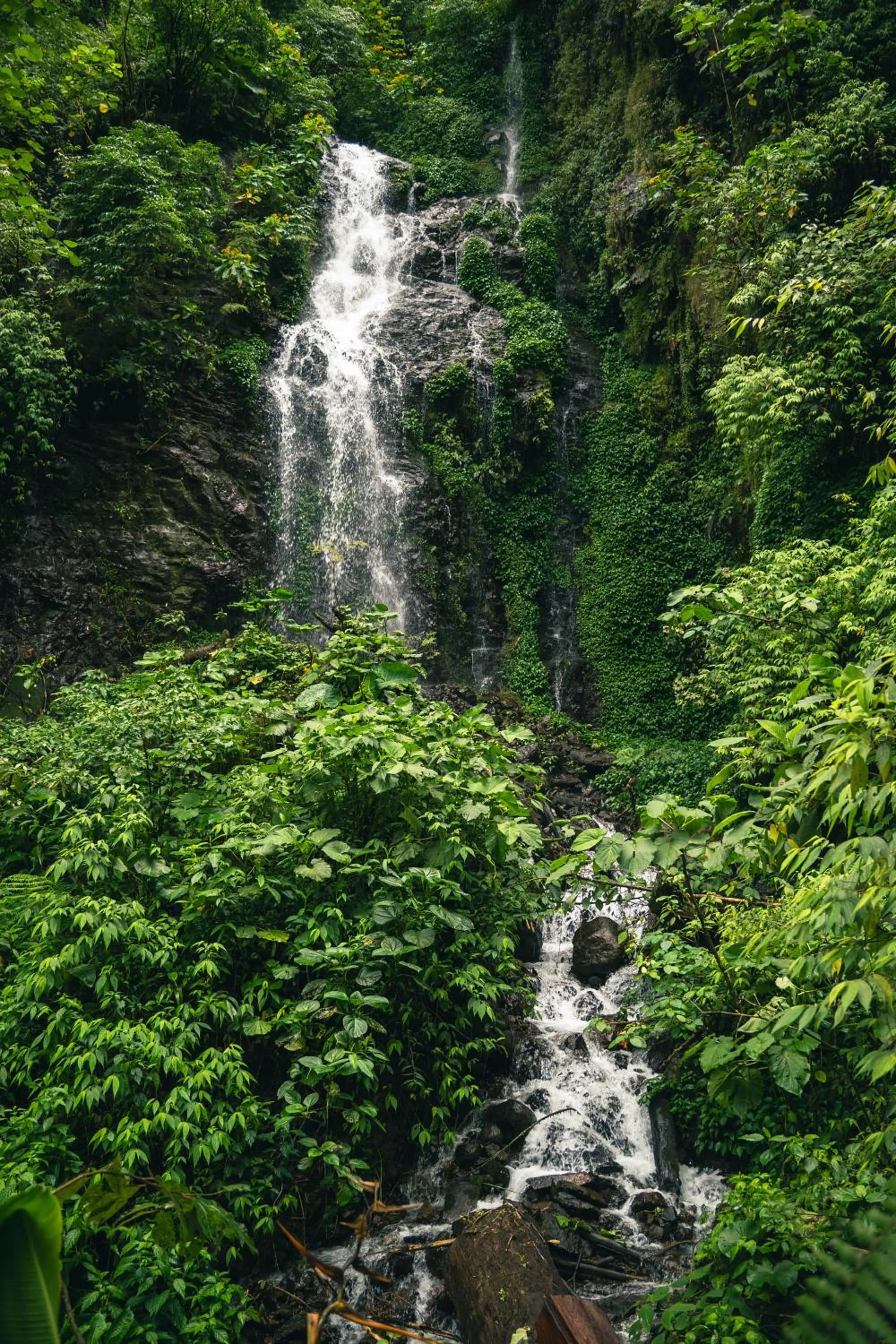 Nearby landmark in Finca Aquarius