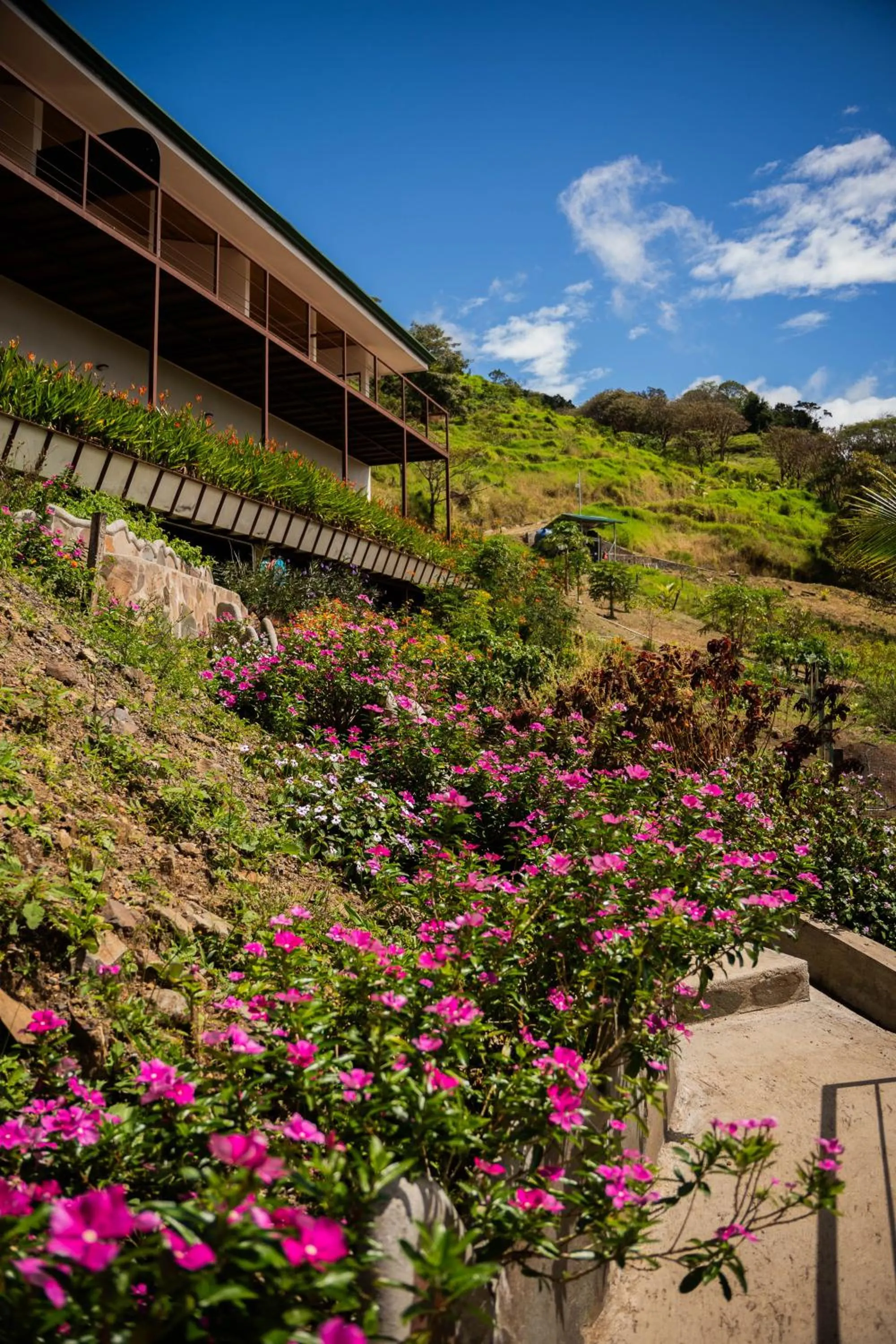 Natural landscape in Finca Aquarius