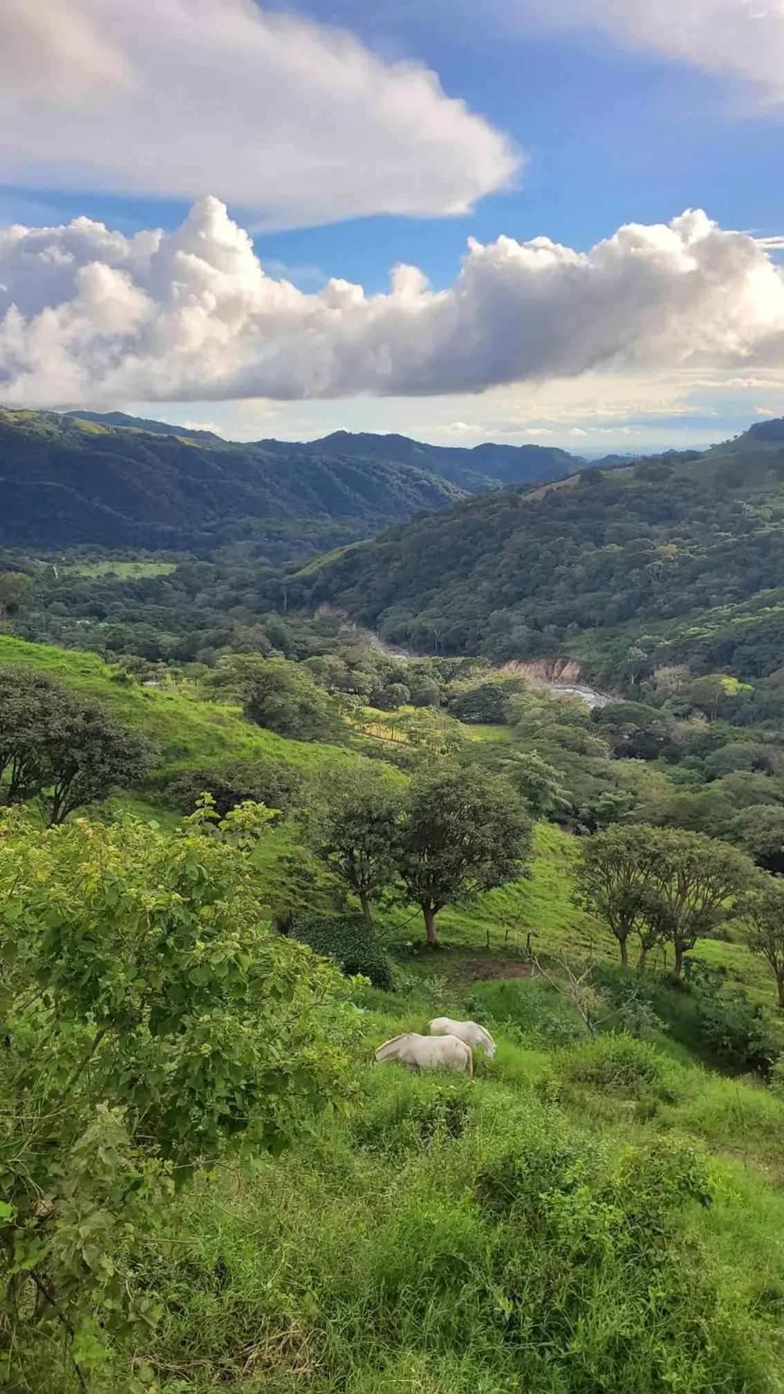 River view in Finca Aquarius