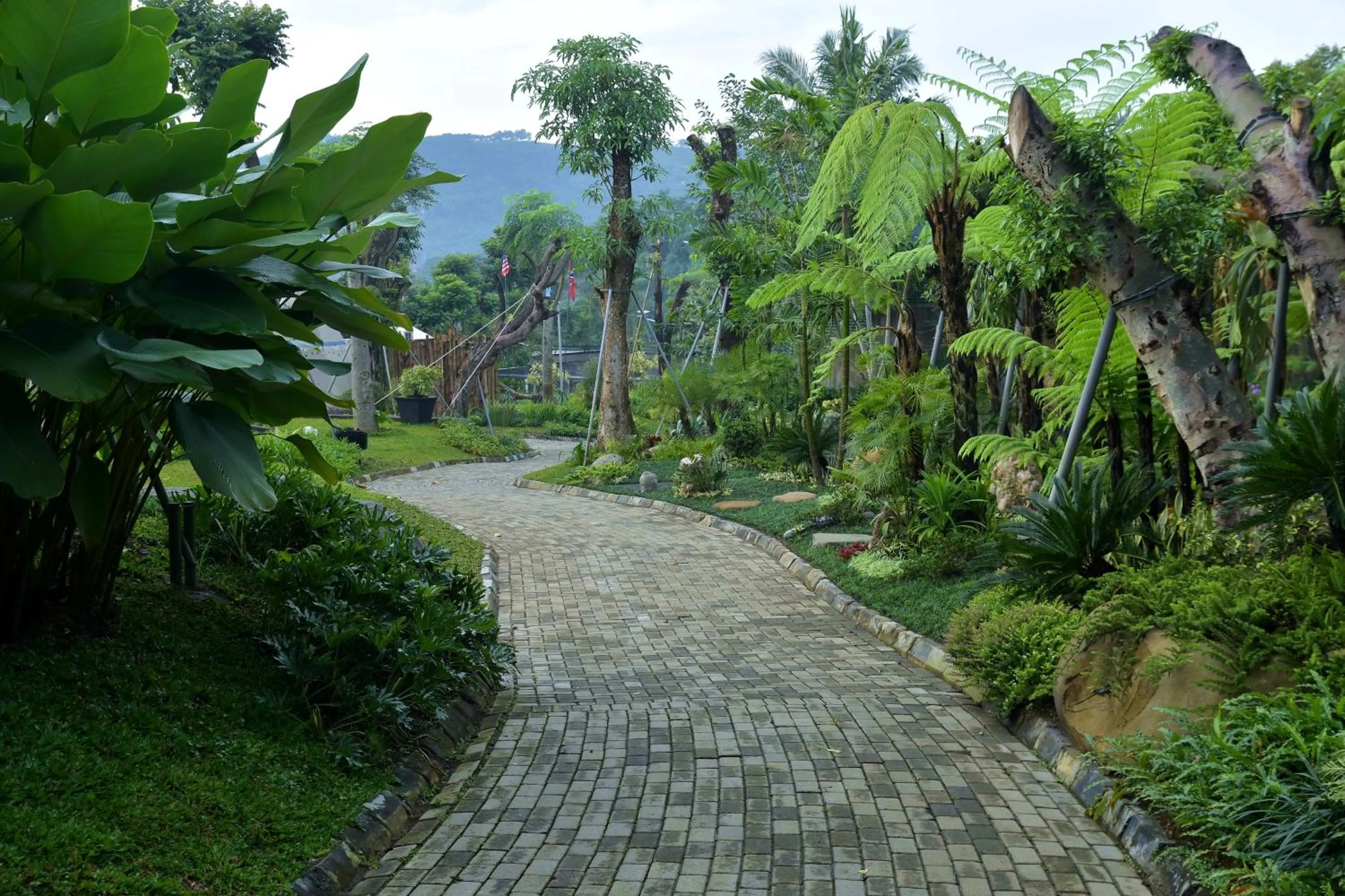 Sarga Earthing Resort