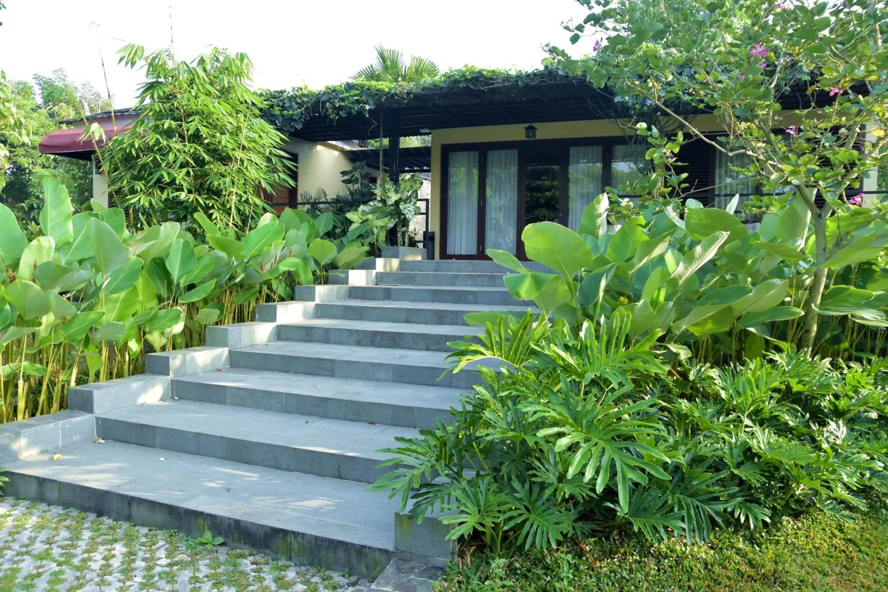 Sarga Earthing Resort Sarga Earthing Resort