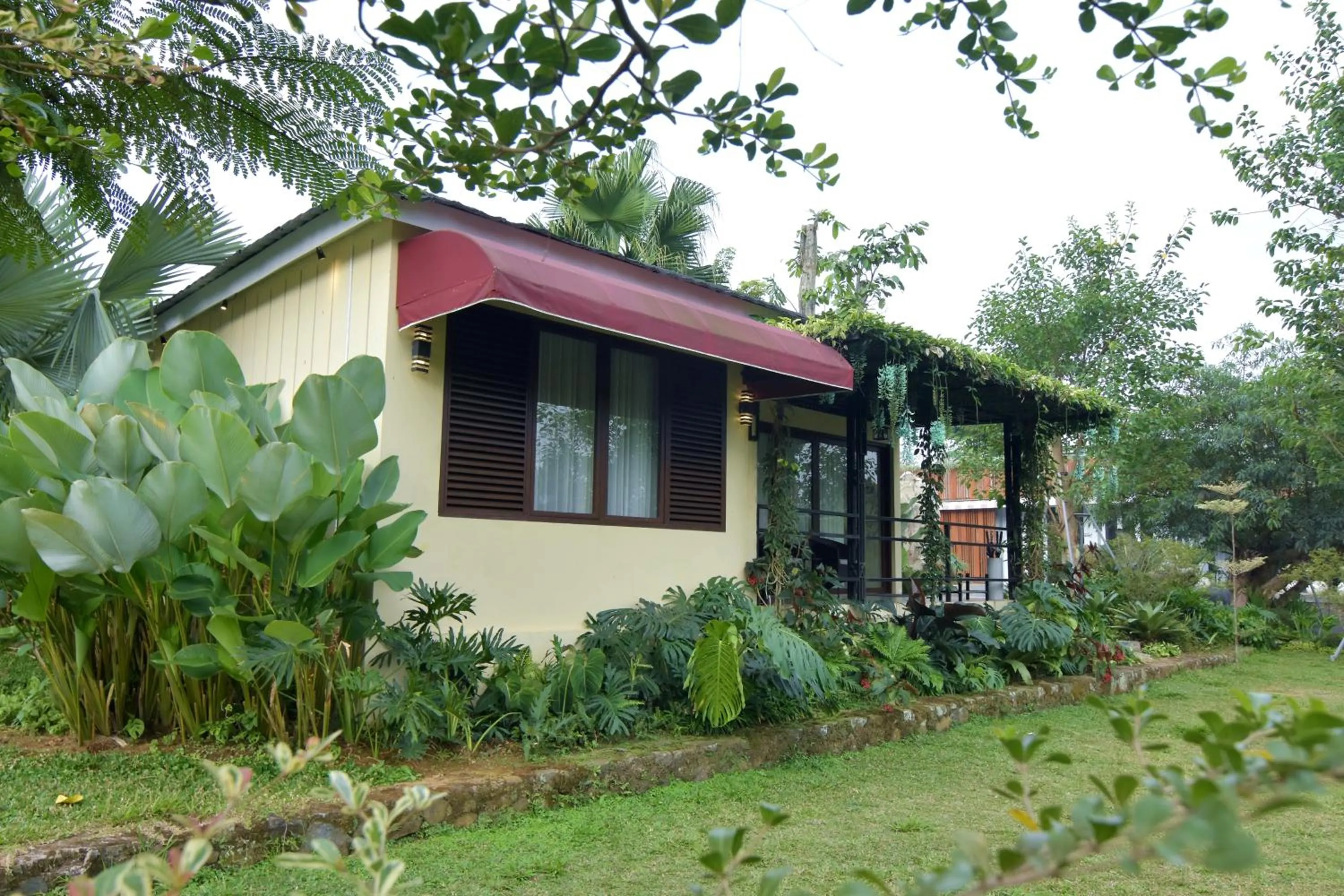 Sarga Earthing Resort