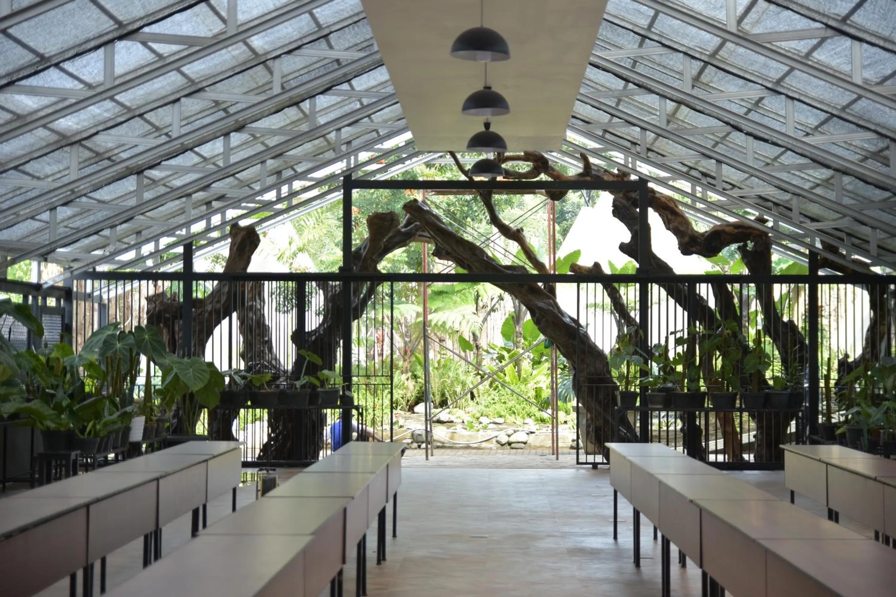 Sarga Earthing Resort