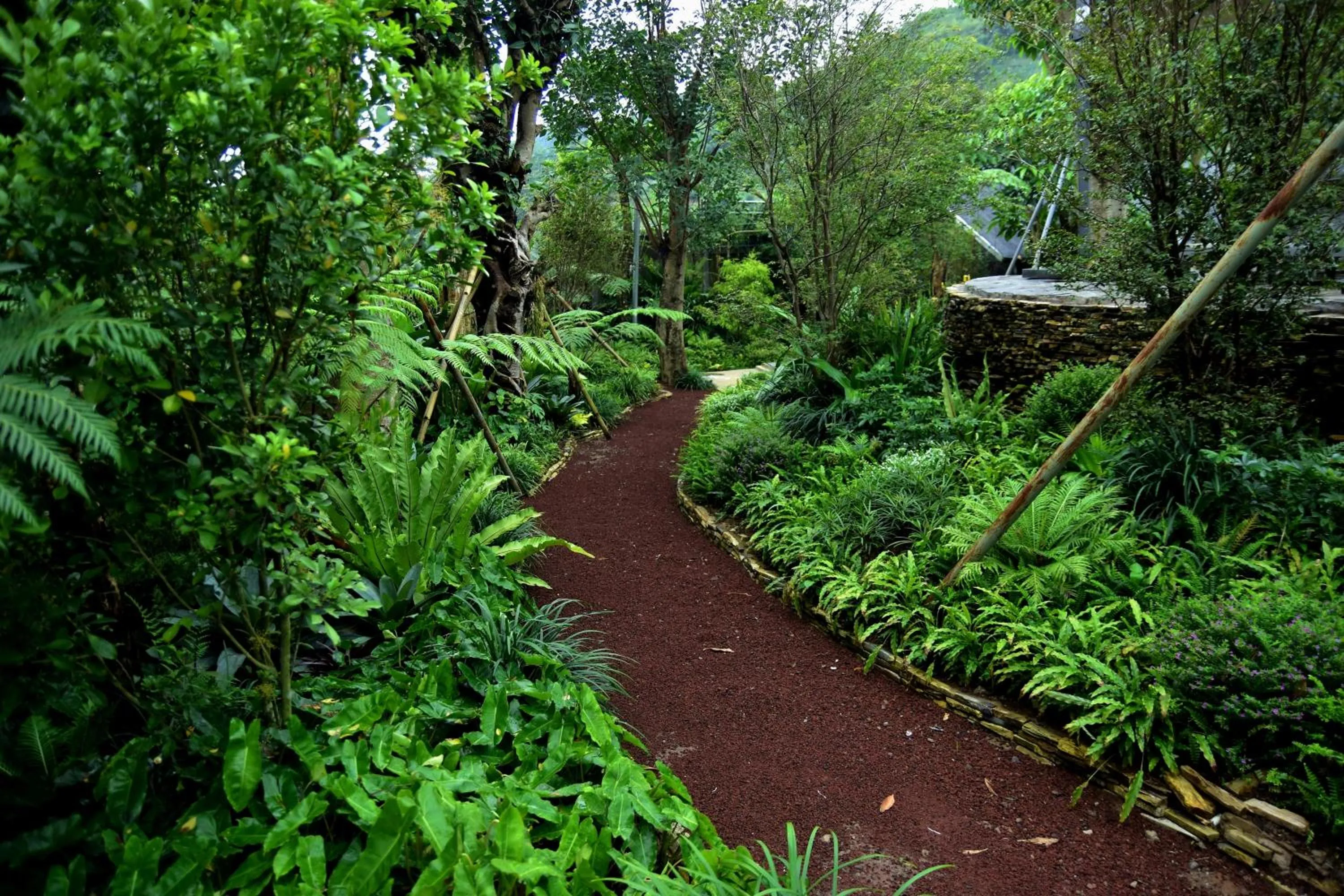 Sarga Earthing Resort