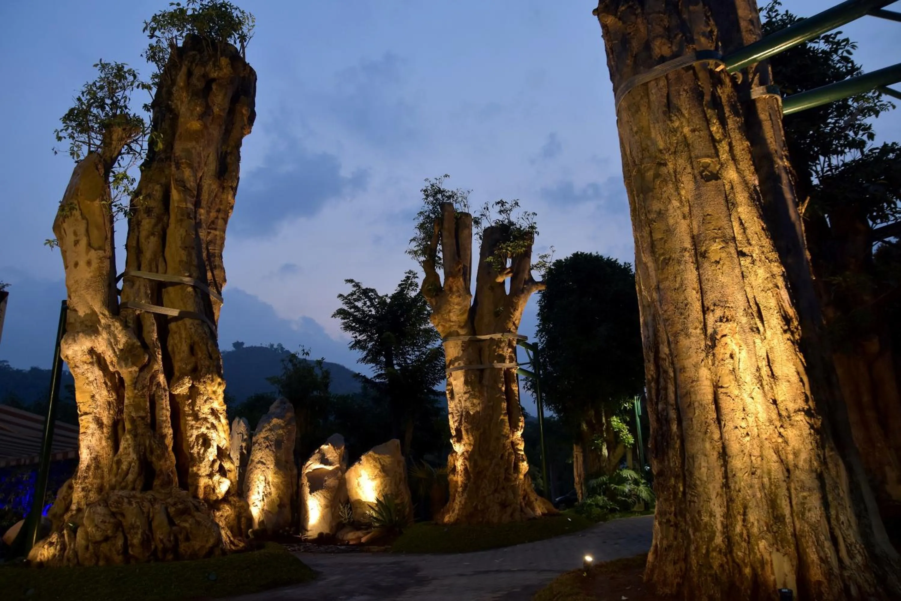 Sarga Earthing Resort