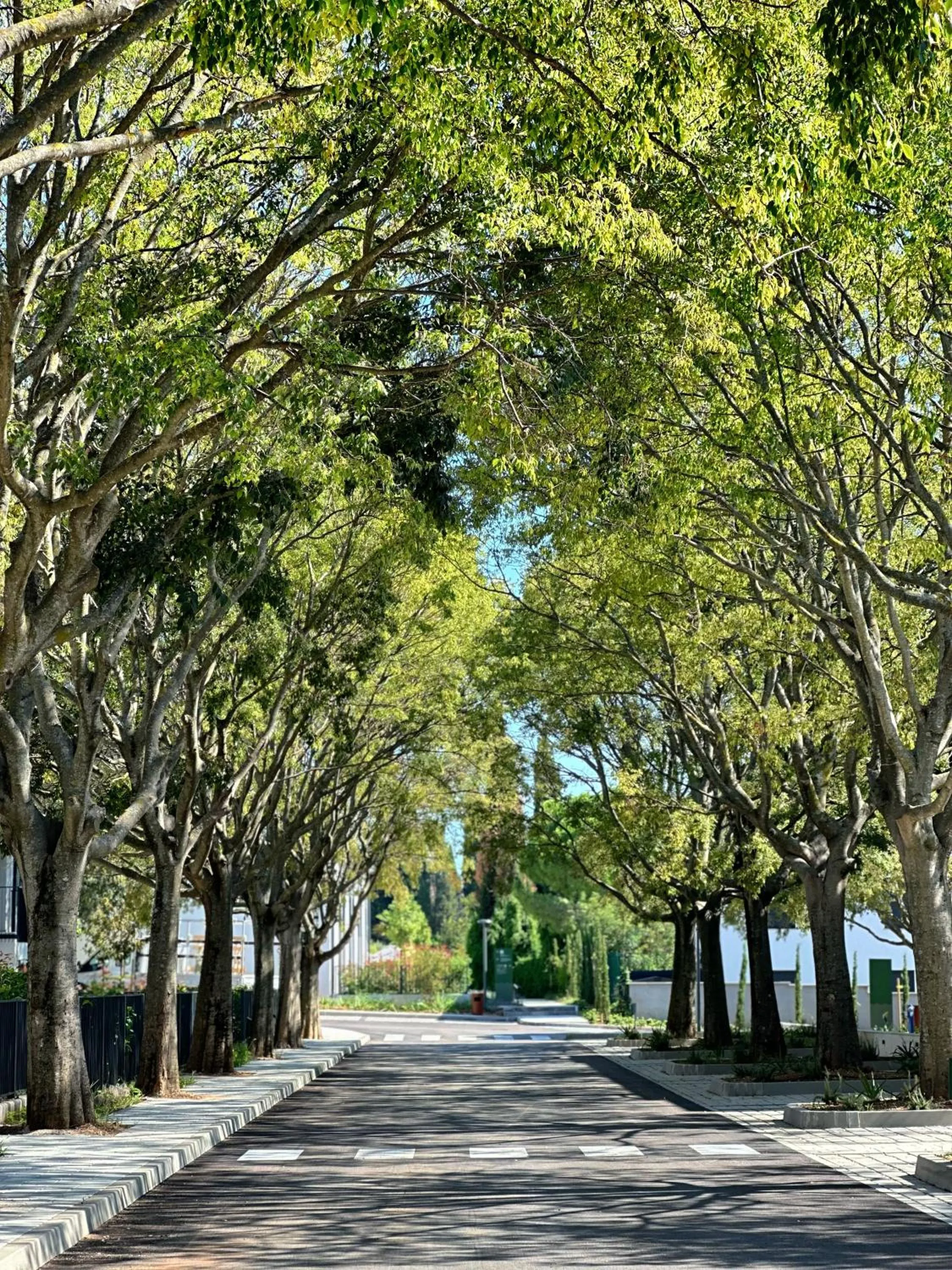 Patio in Molum Hotel & Residences