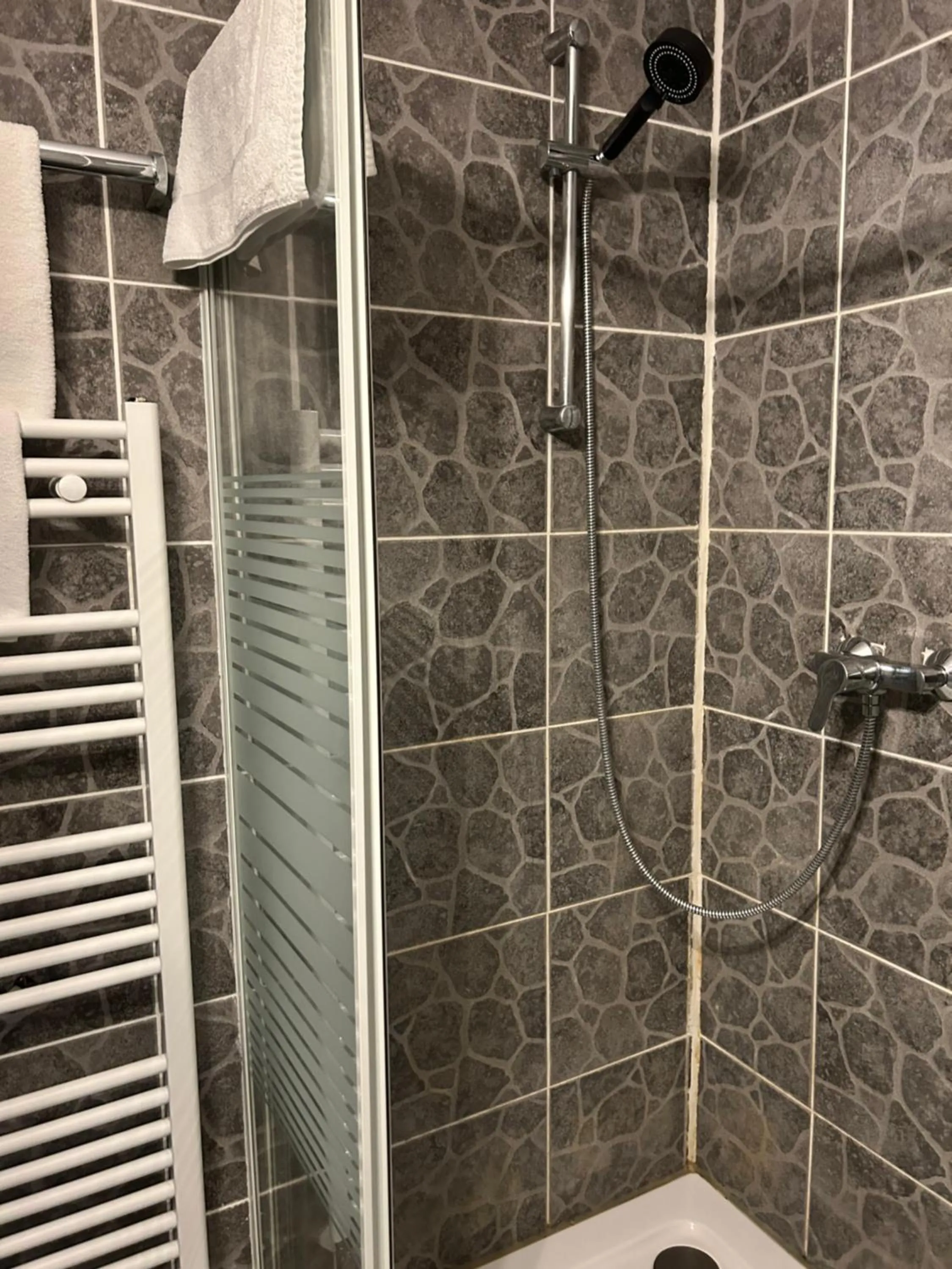 Shower in Hotel Berg