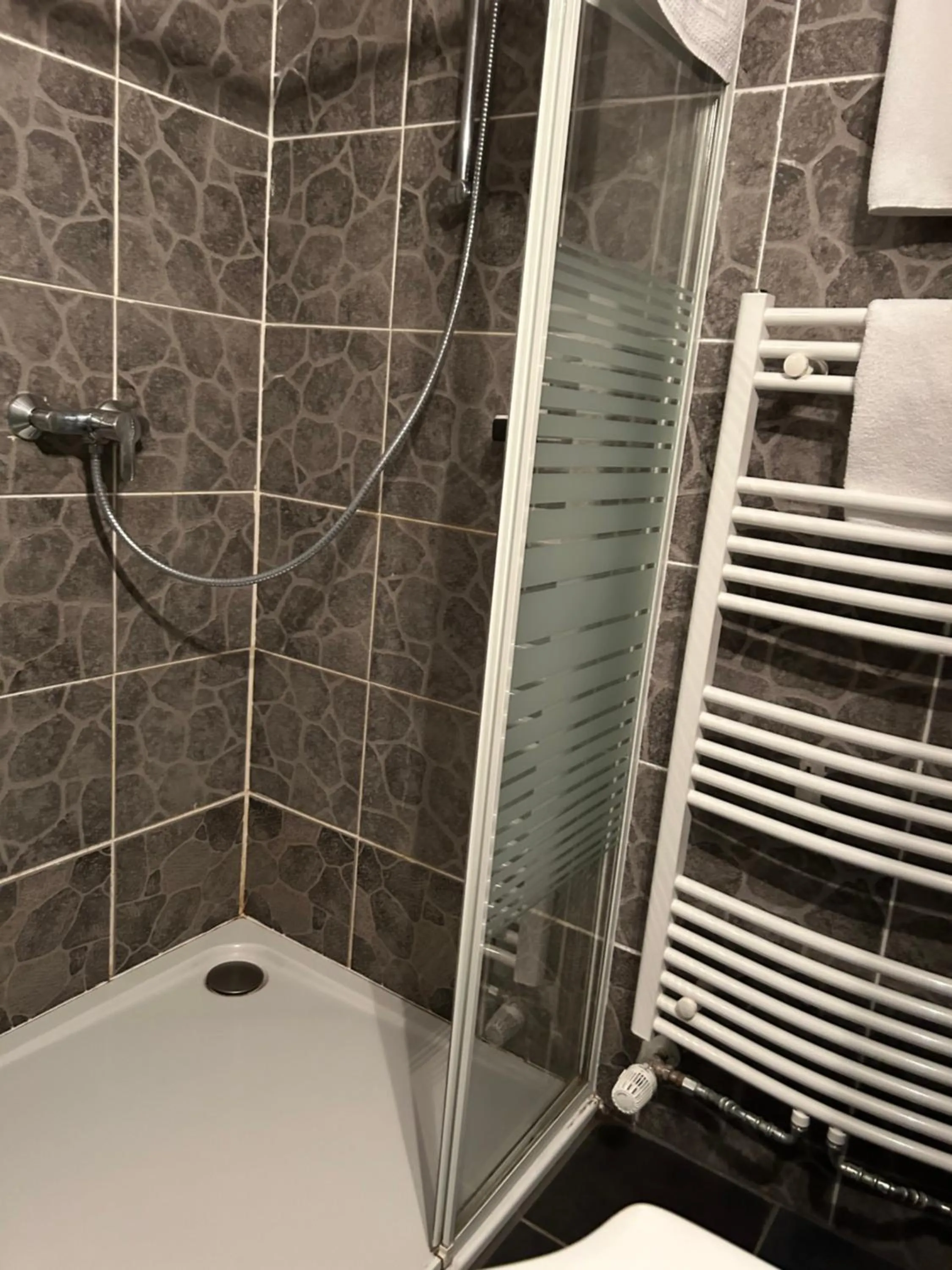 Shower in Hotel Berg