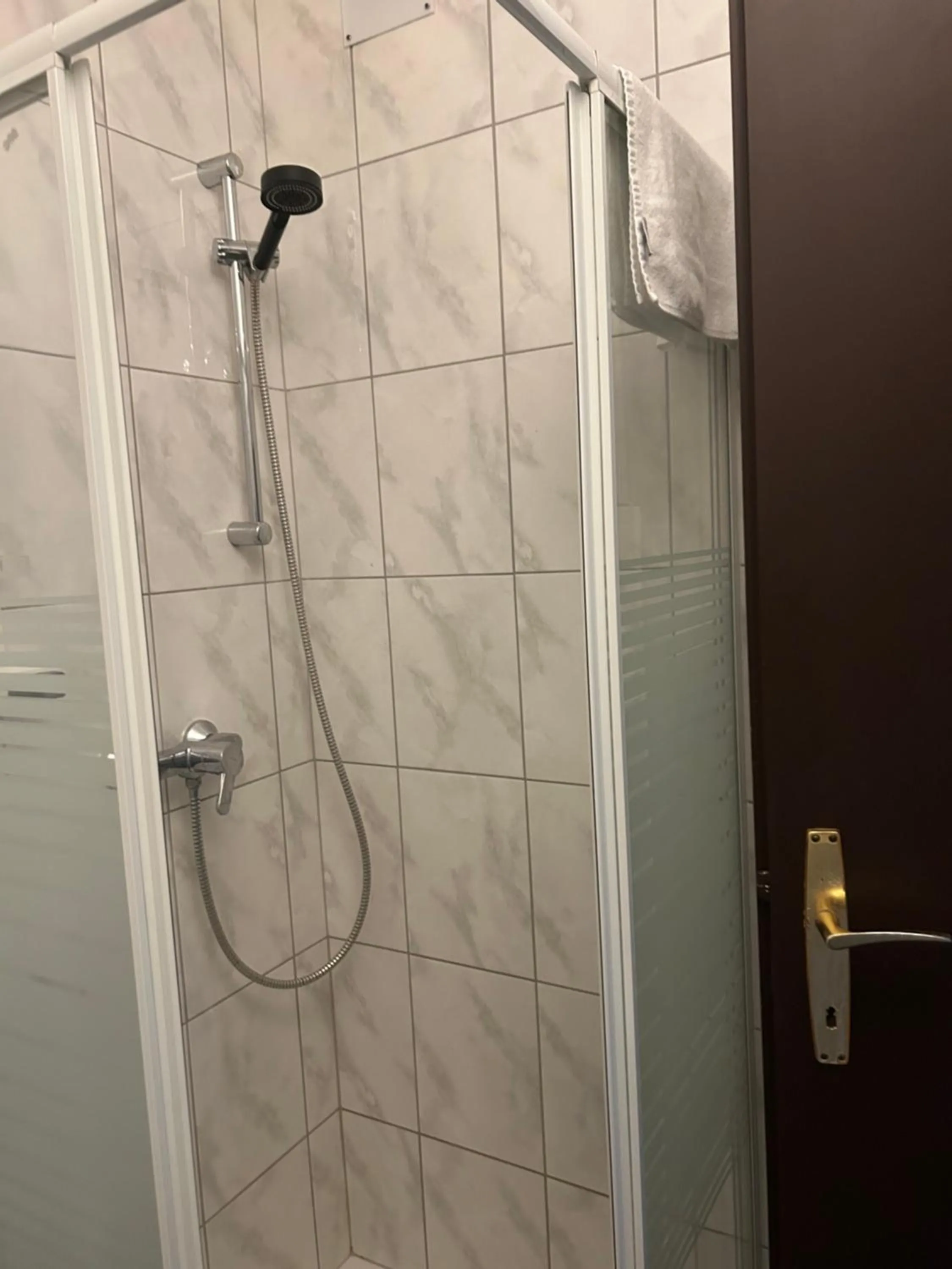 Shower in Hotel Berg