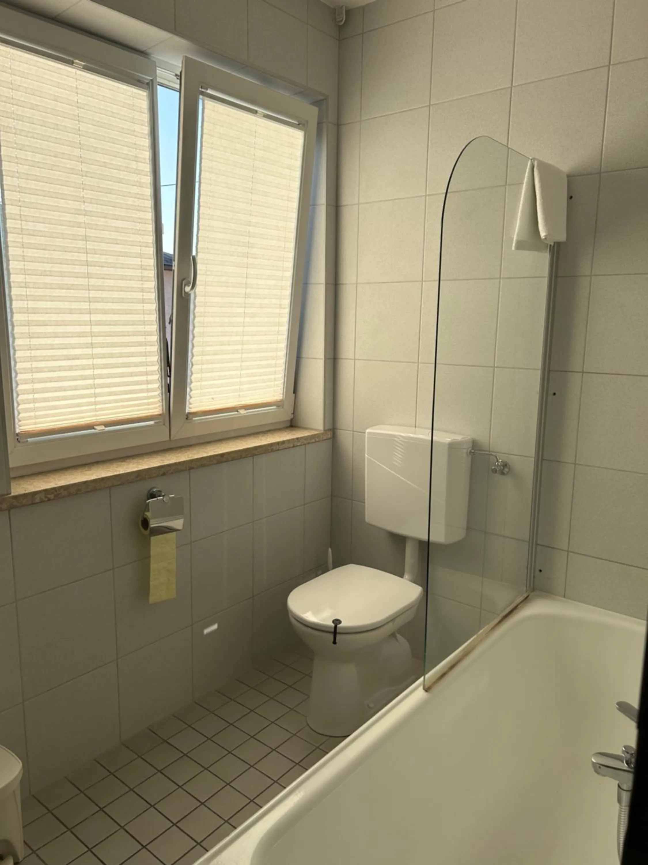 Toilet in Hotel Berg