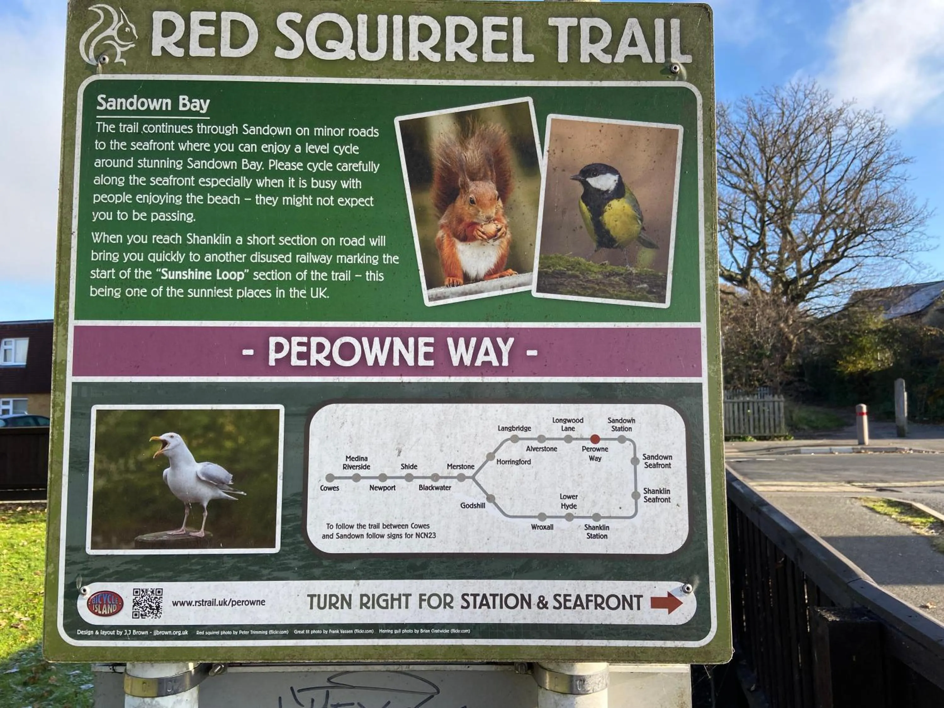 Red Squirrel Lodge