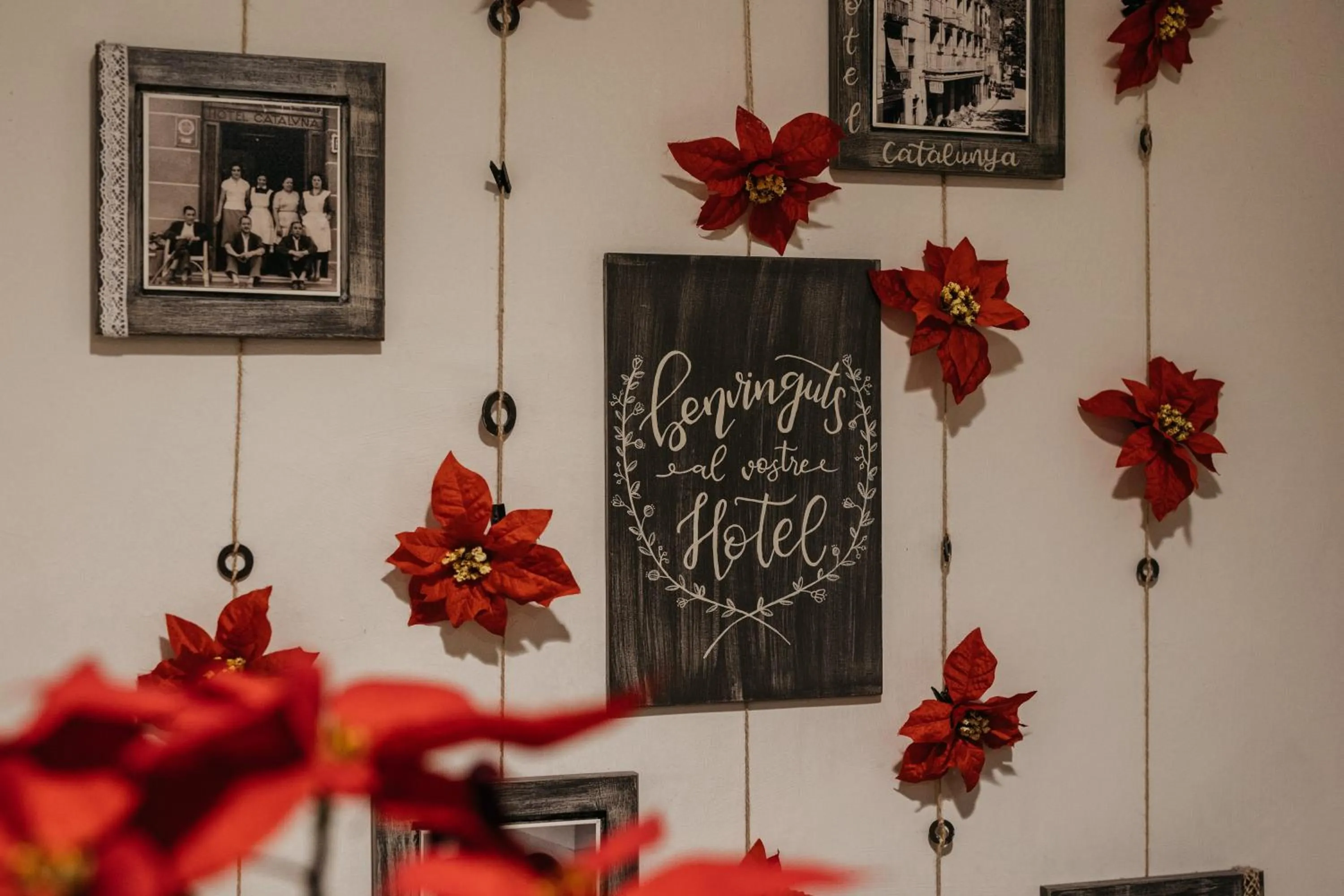 Hotel Catalunya Ribes de Freser