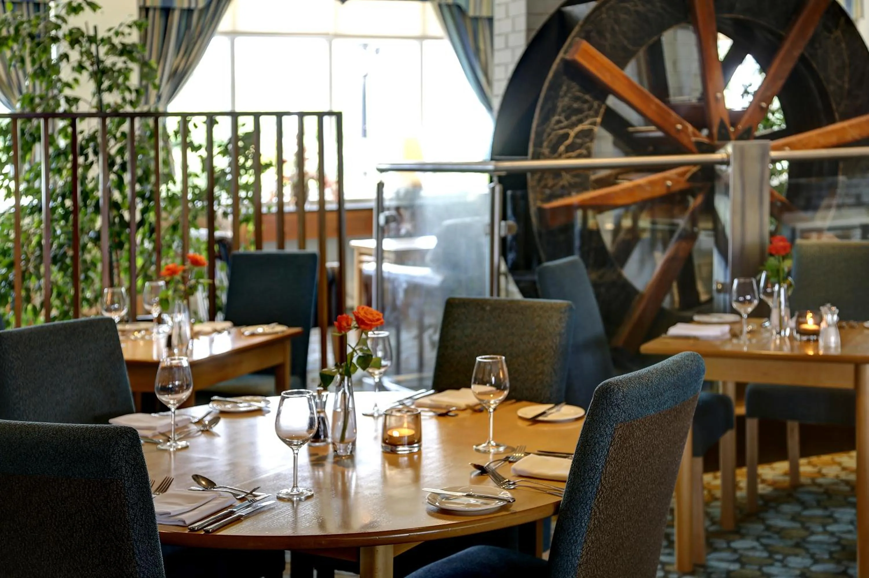 Restaurant/places to eat in Best Western Plus Milford Hotel