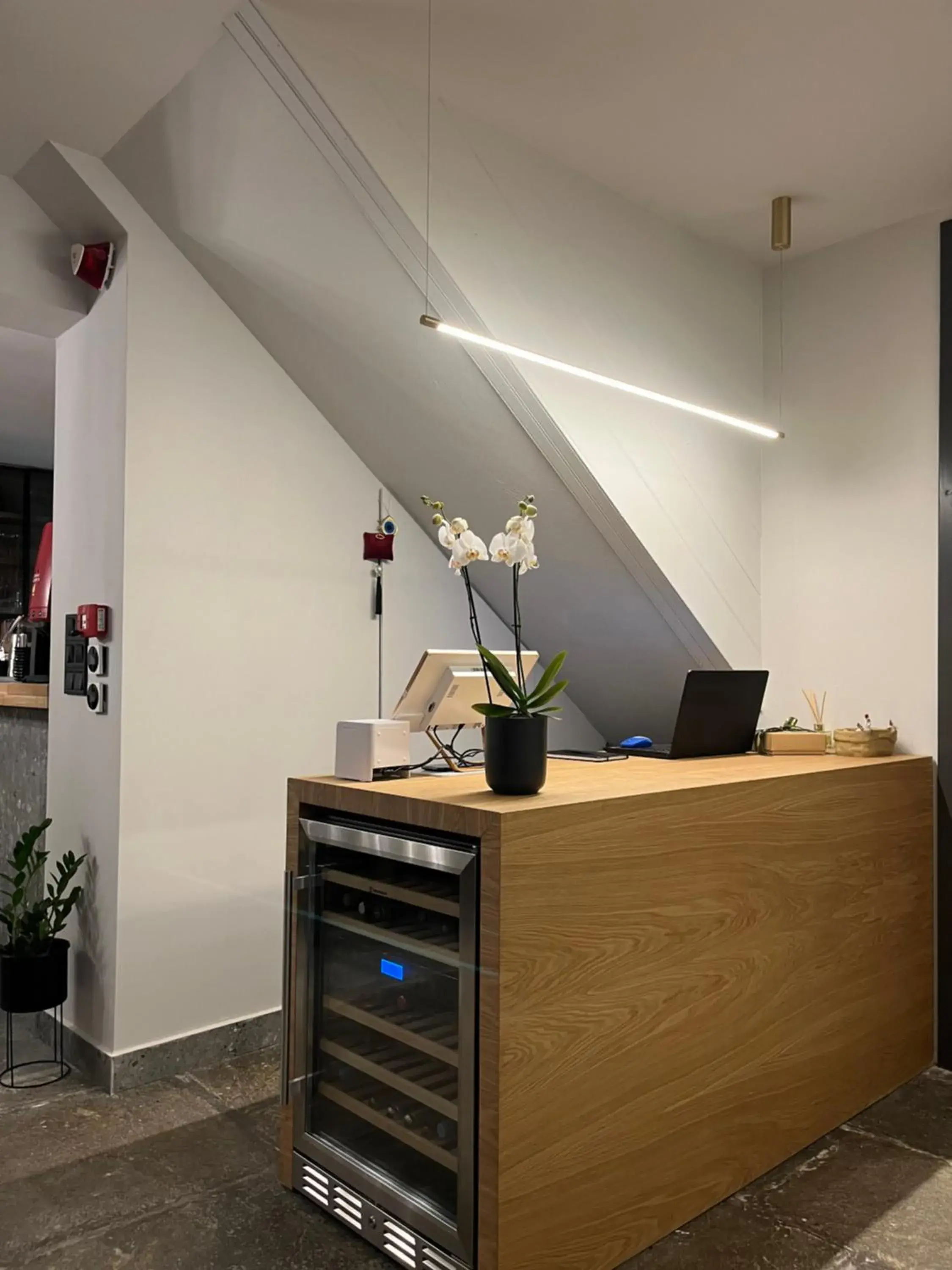 Lobby or reception in Kenta Mountain Hotel & Gastrobar Lobby or reception in Kenta Mountain Hotel & Gastrobar