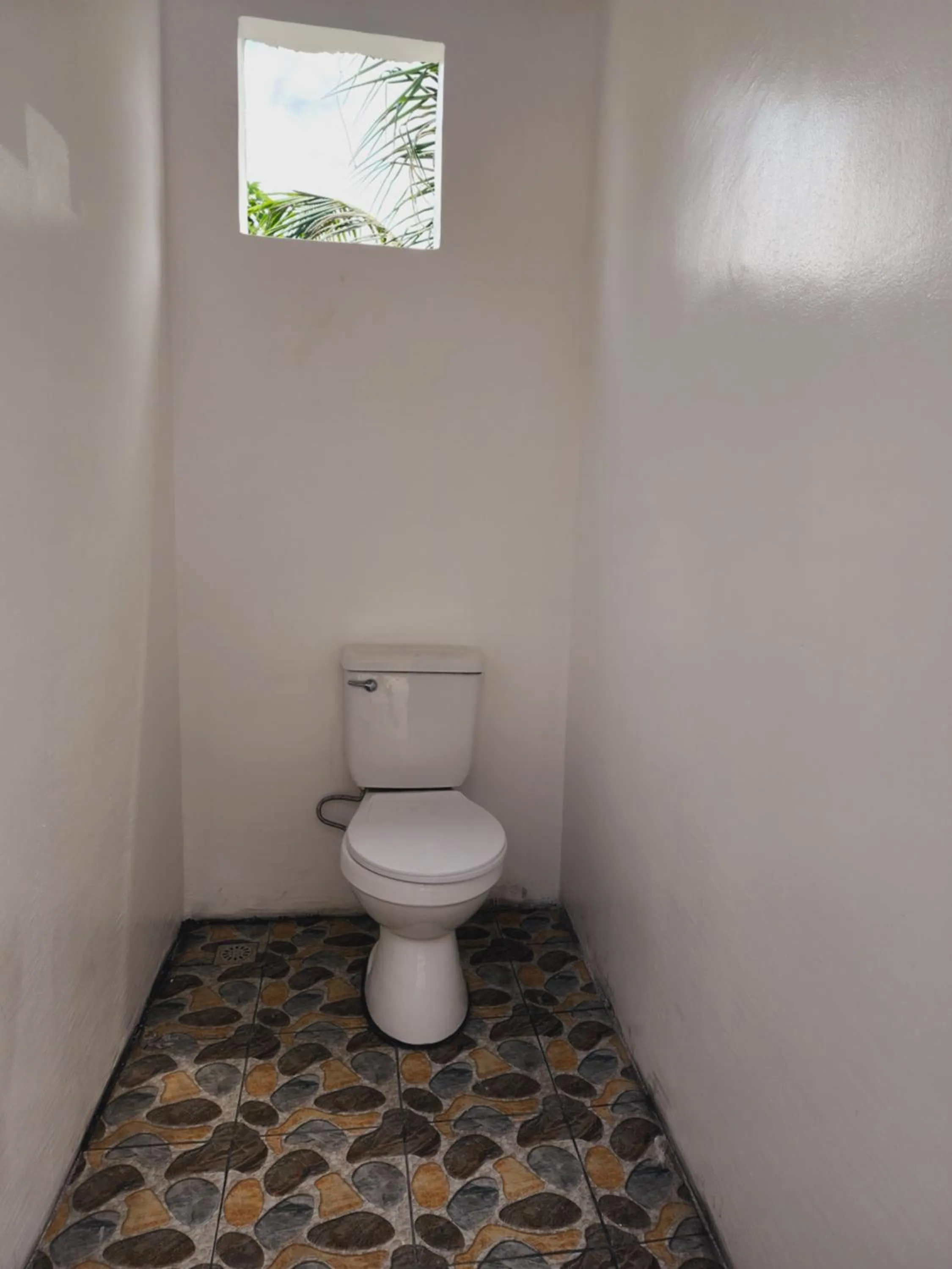 Toilet in HYD Hostel Moalboal