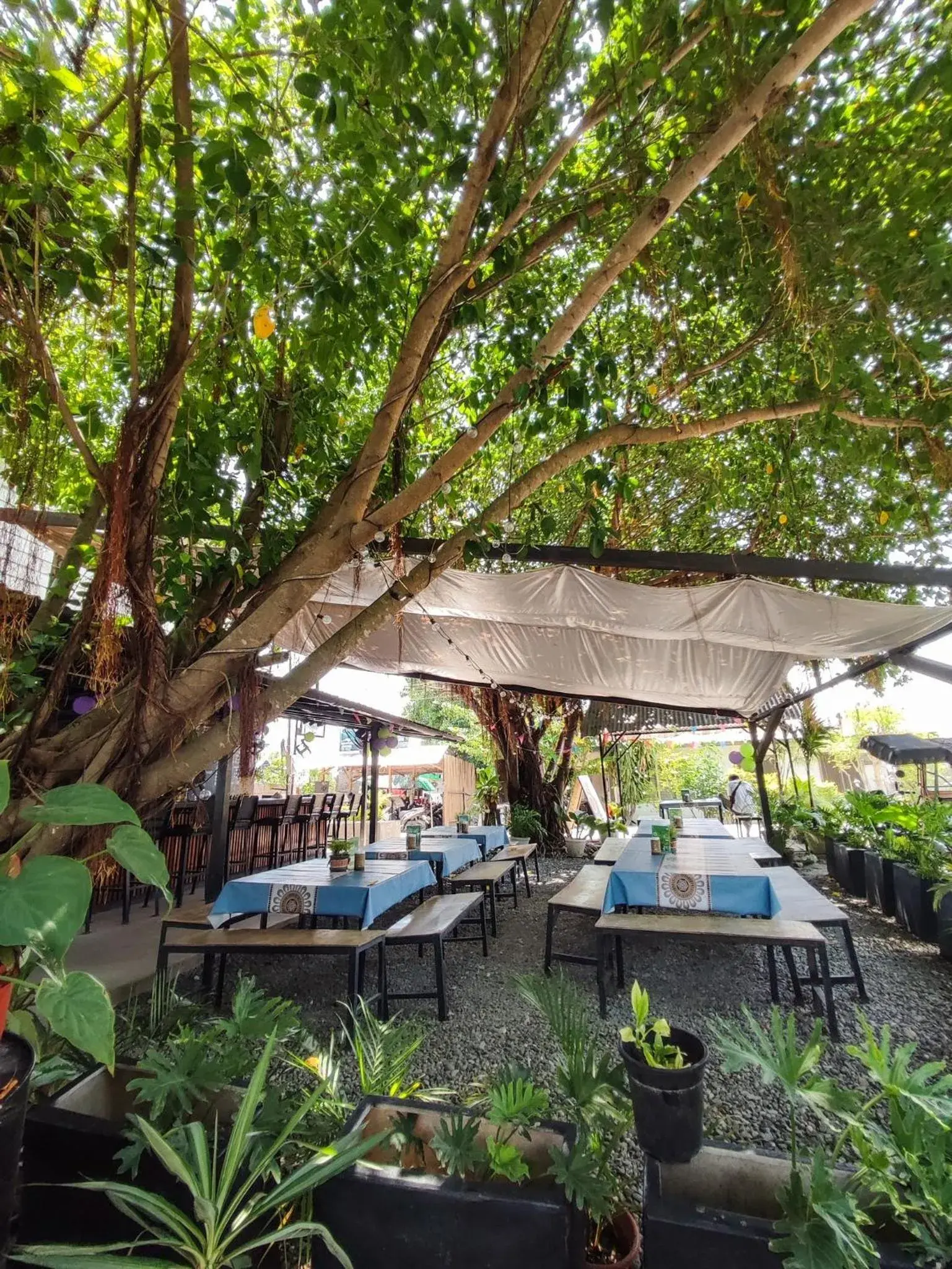 Restaurant/places to eat in HYD Hostel Moalboal Restaurant/places to eat in HYD Hostel Moalboal