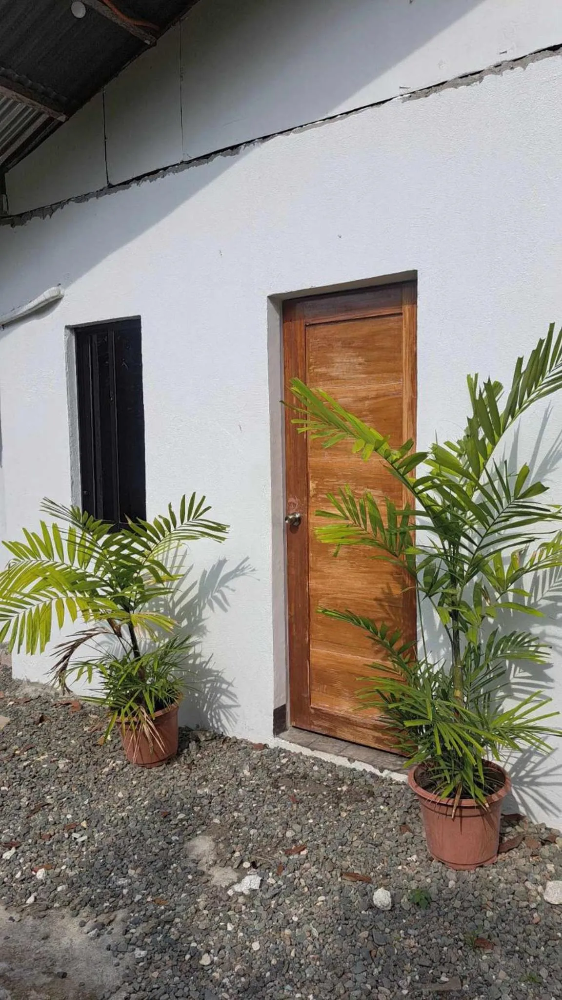 Property building in HYD Hostel Moalboal