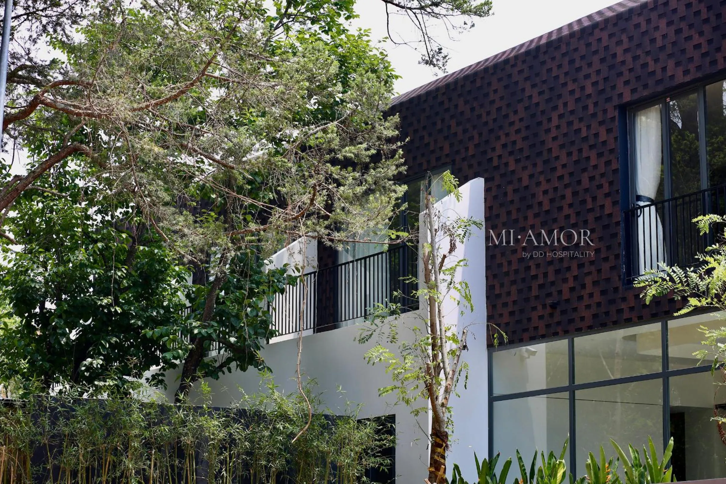 Property building in DD Hospitality - Mi Amor Da Lat
