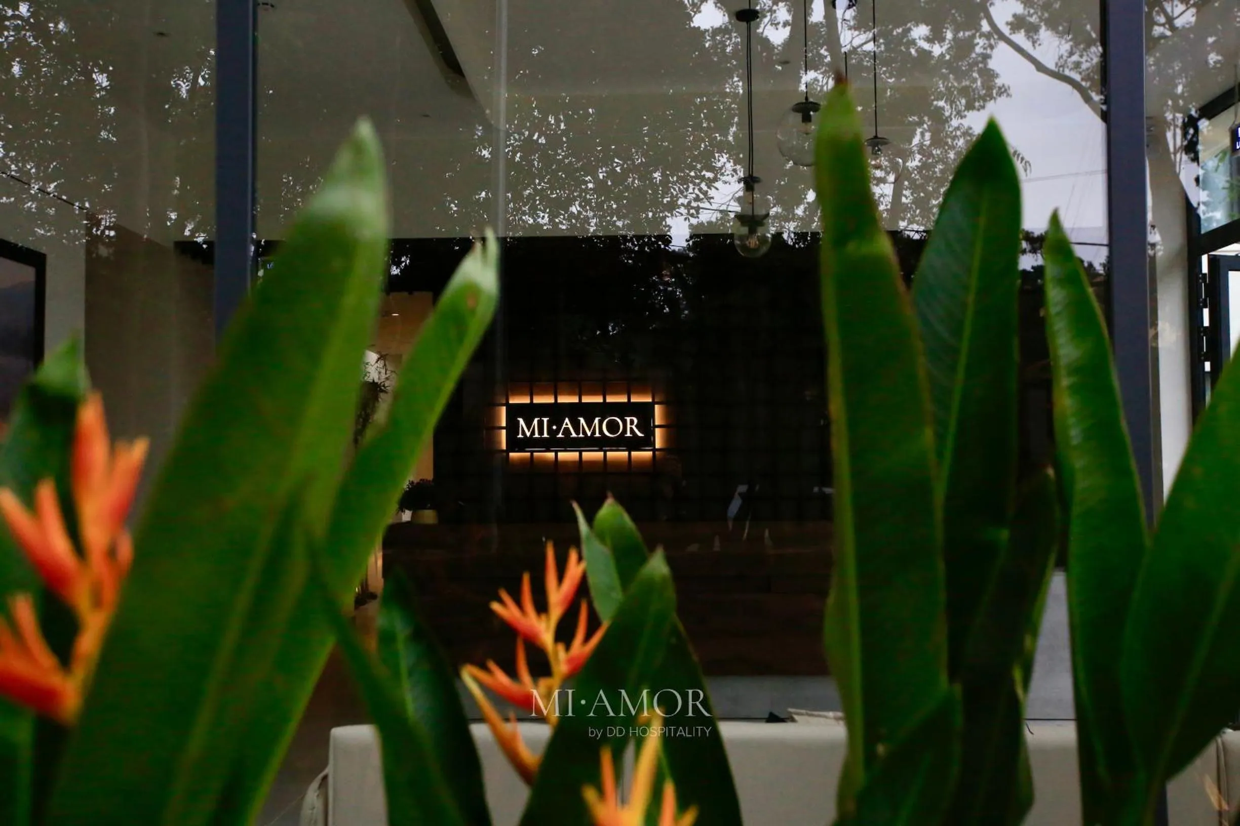 Day in DD Hospitality - Mi Amor Da Lat