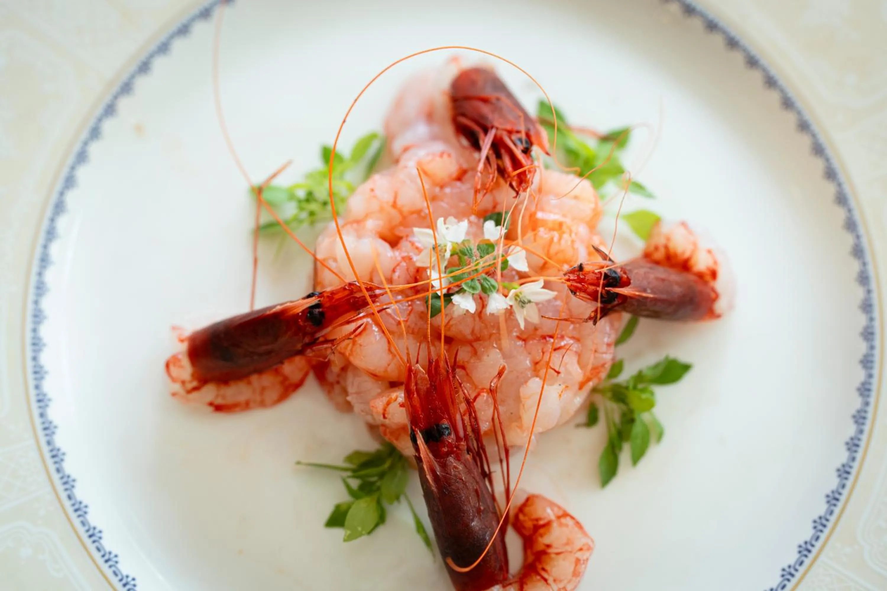 Restaurant/places to eat in Hotel Ristorante Le Rose