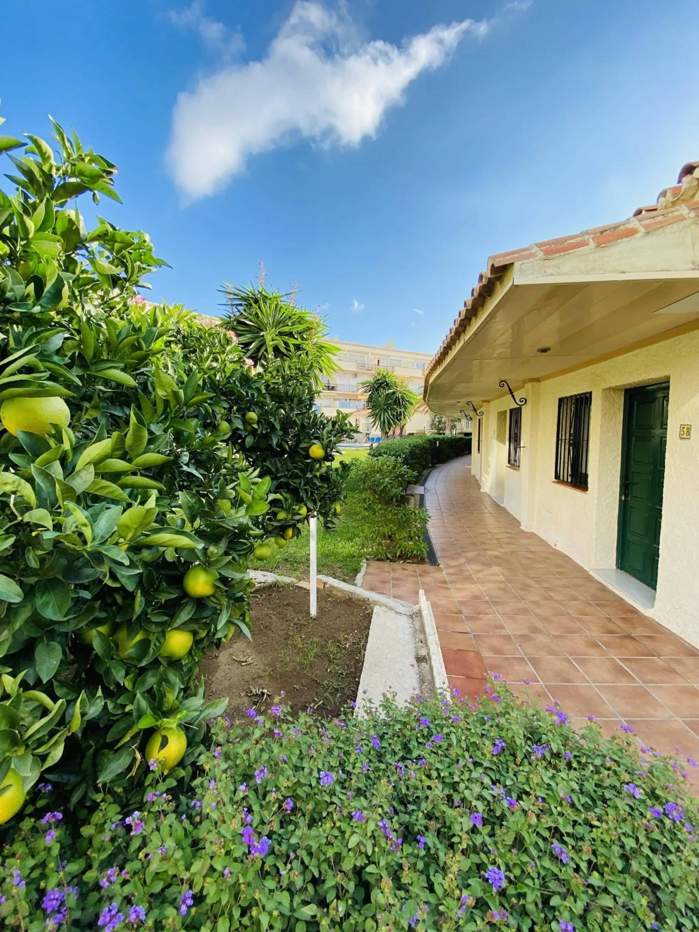 Decorative detail in Hotel Los Jazmines