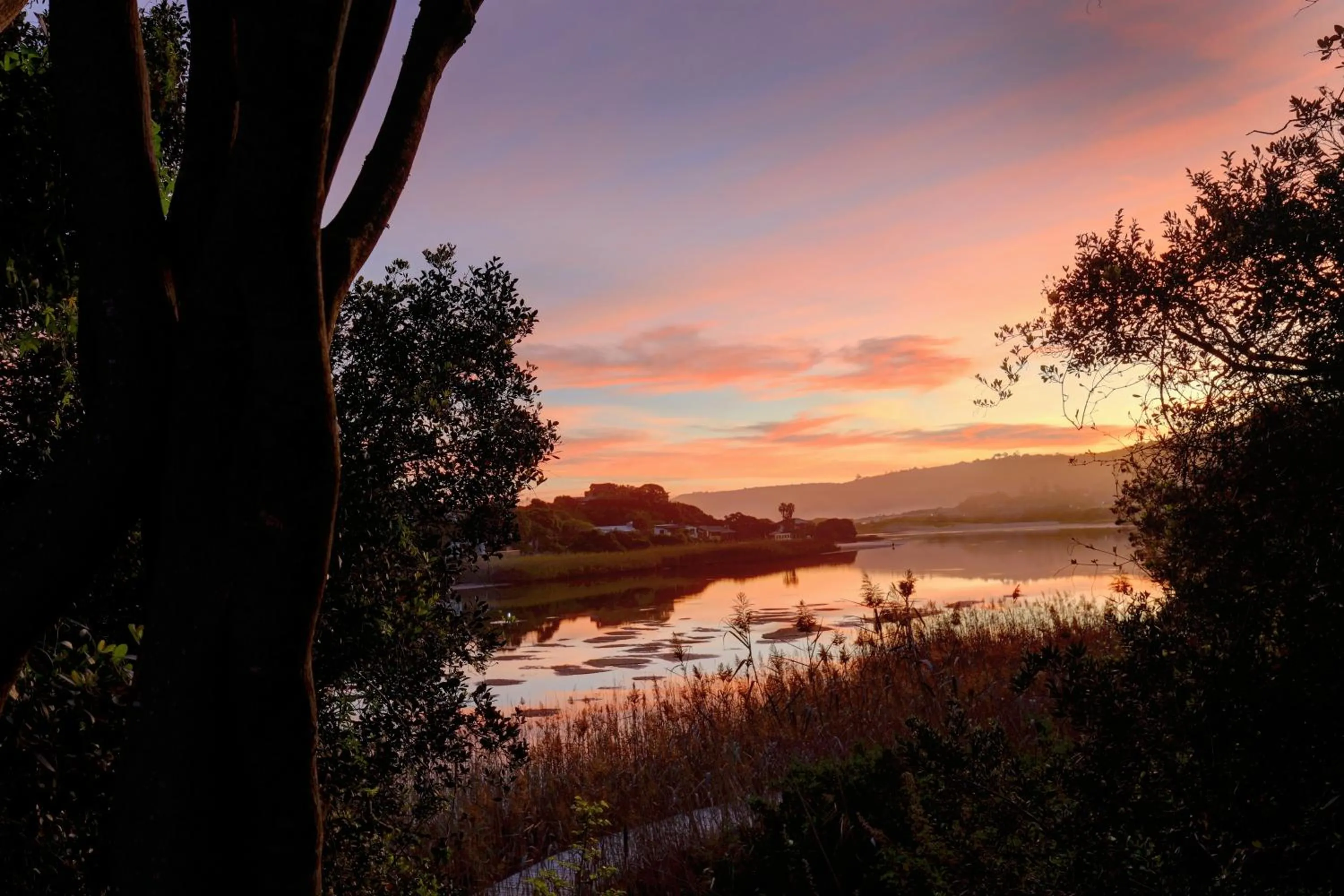 Natural landscape in Cloverleigh Guest House