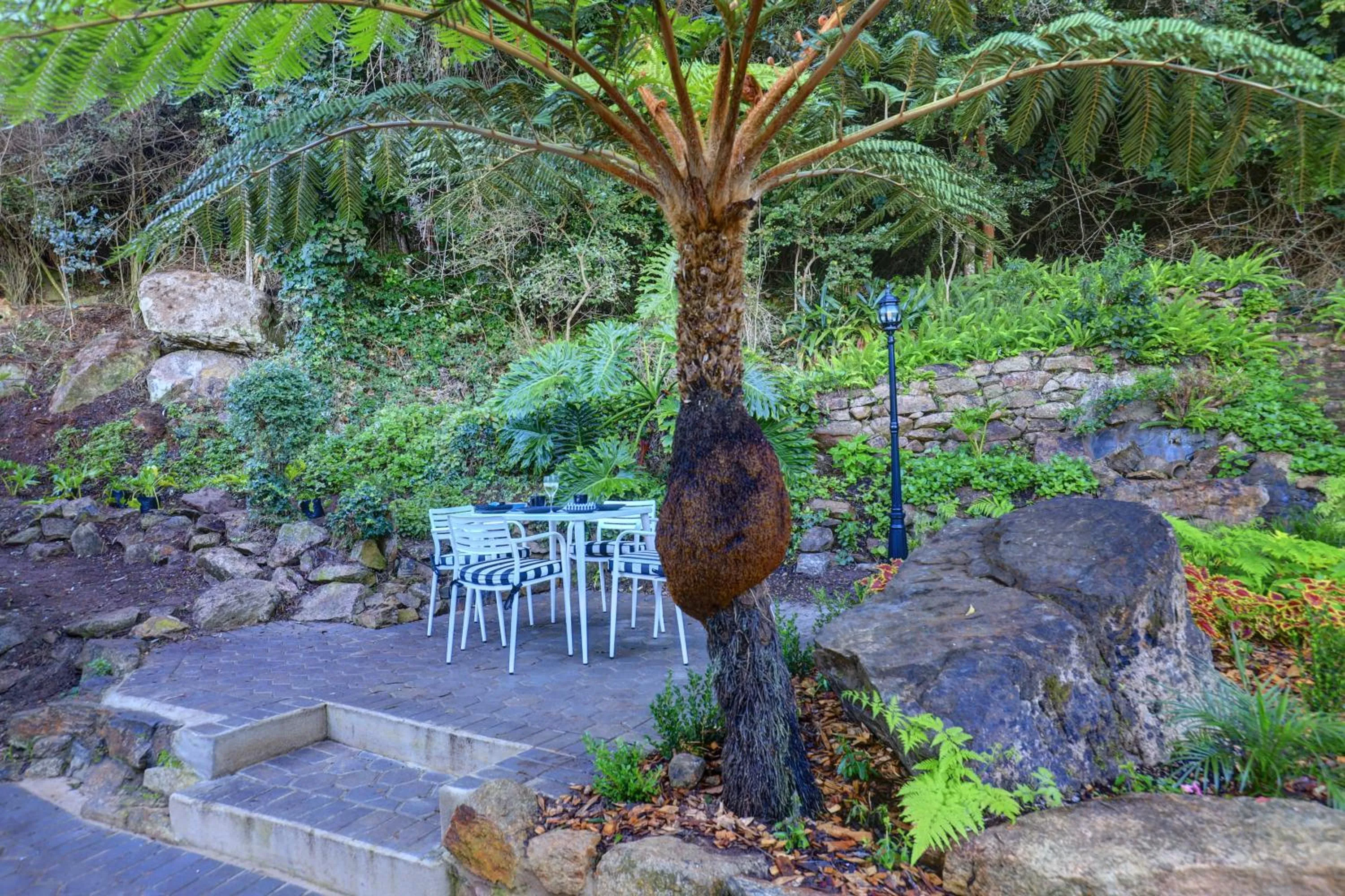 Day in Cloverleigh Guest House