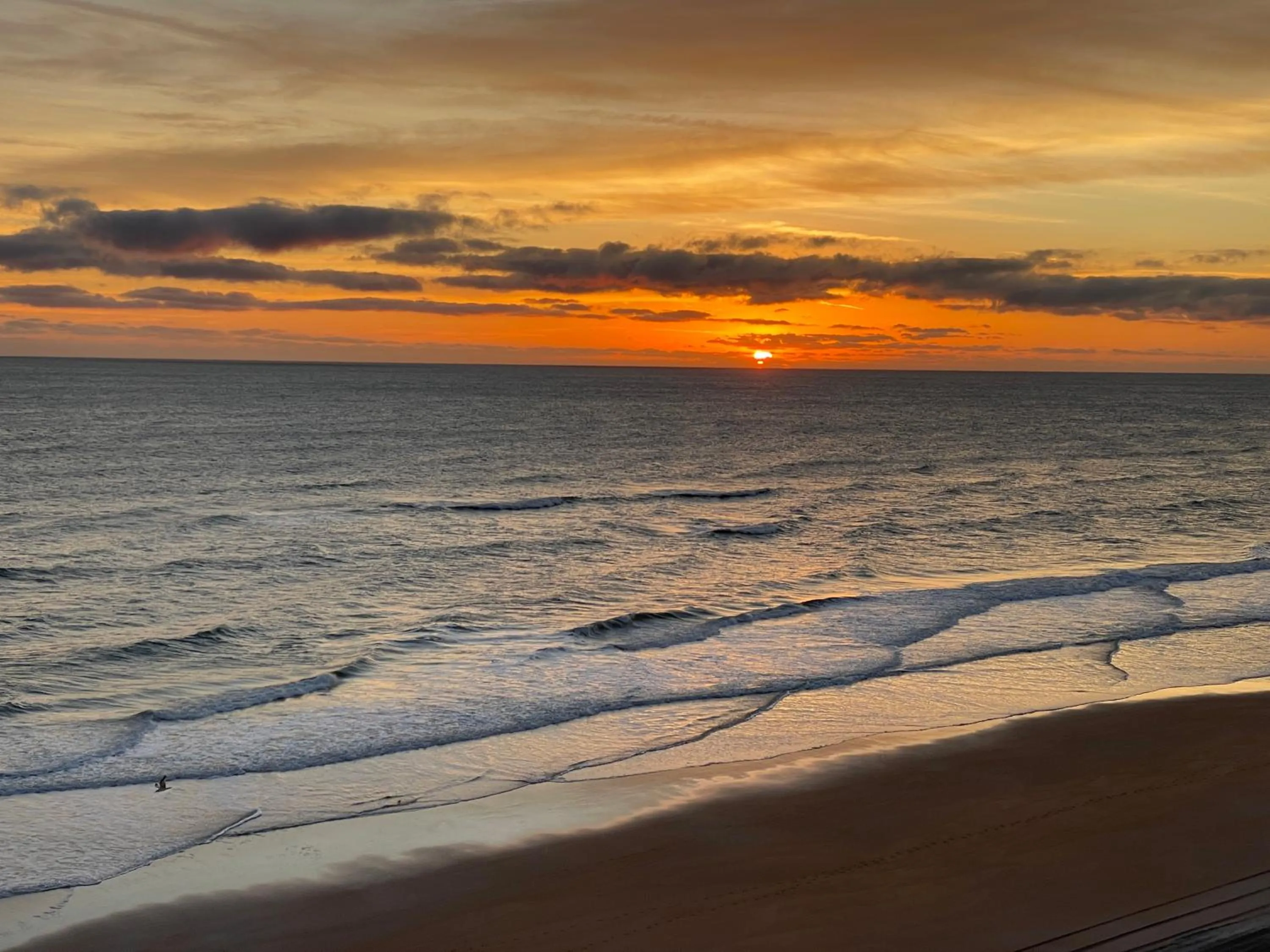 Natural landscape in Royal Floridian Resort South by Spinnaker