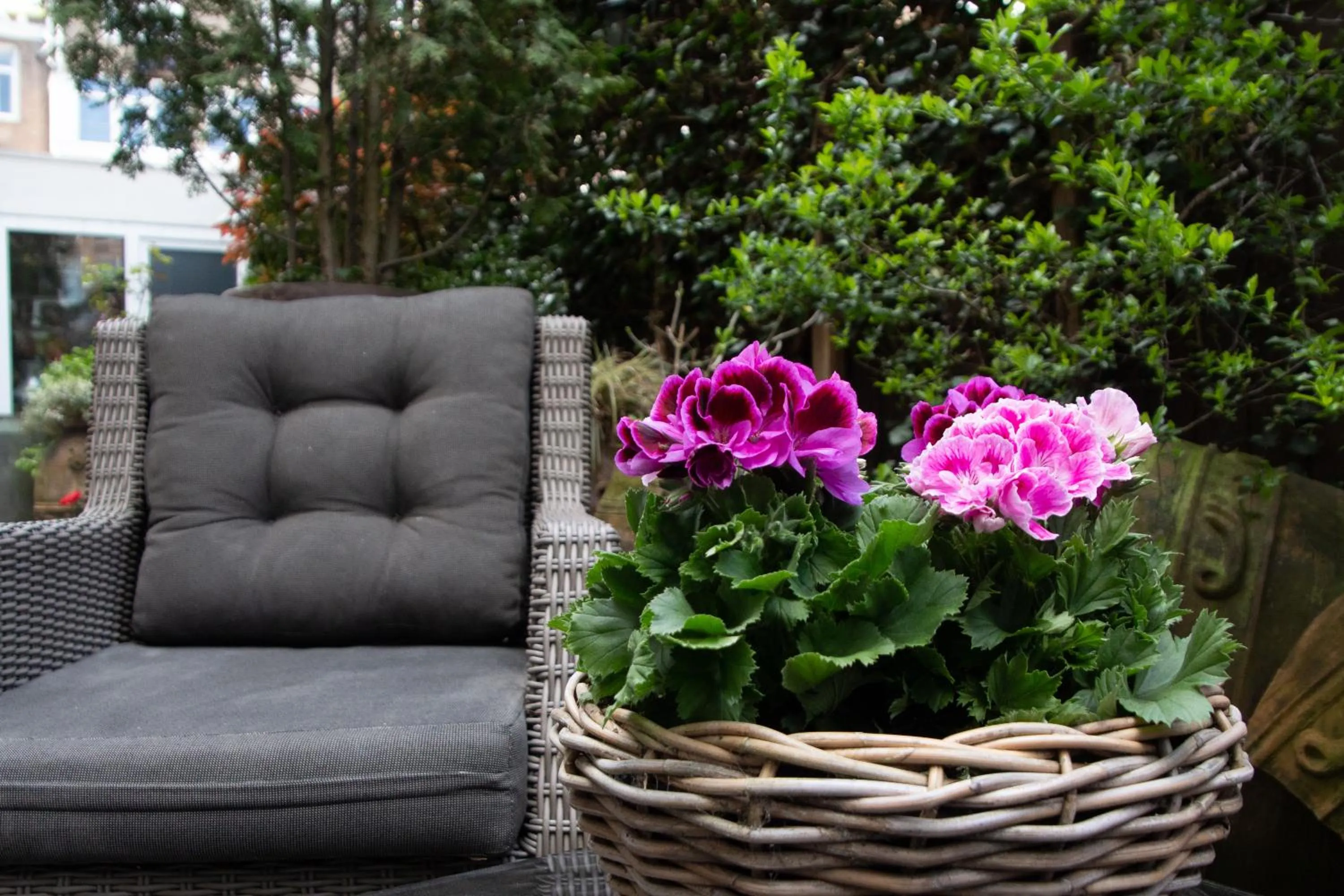 Garden in Jupiter Hotel