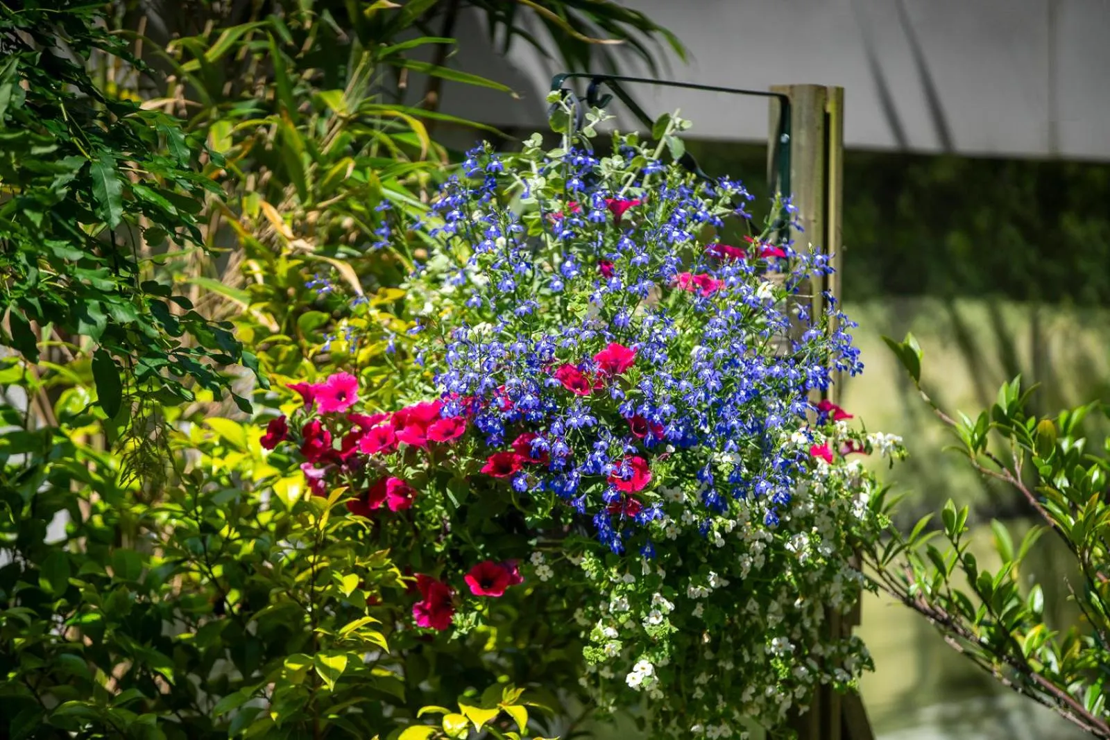 Garden in Jupiter Hotel