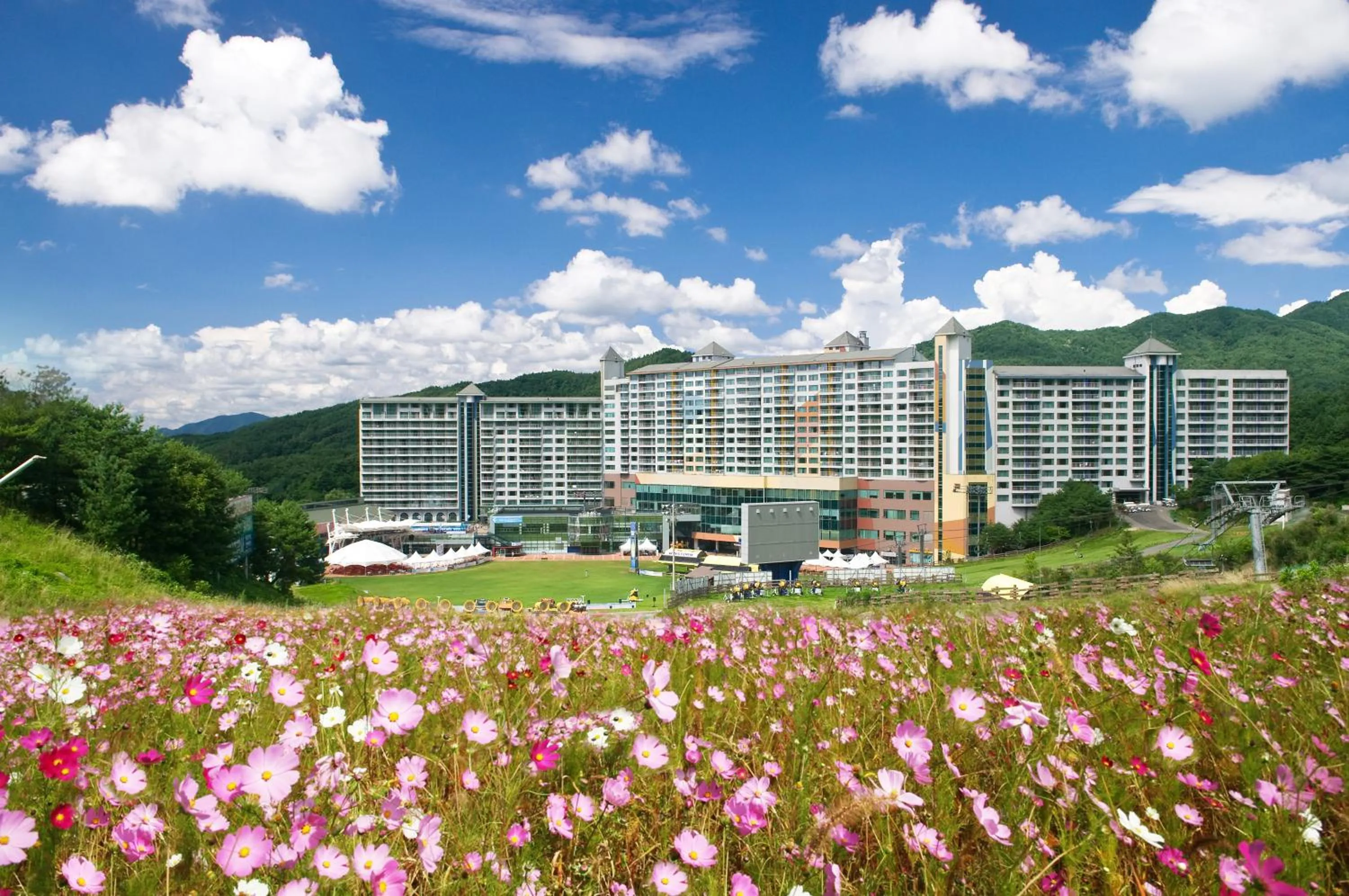 Wellihilli Park Resort