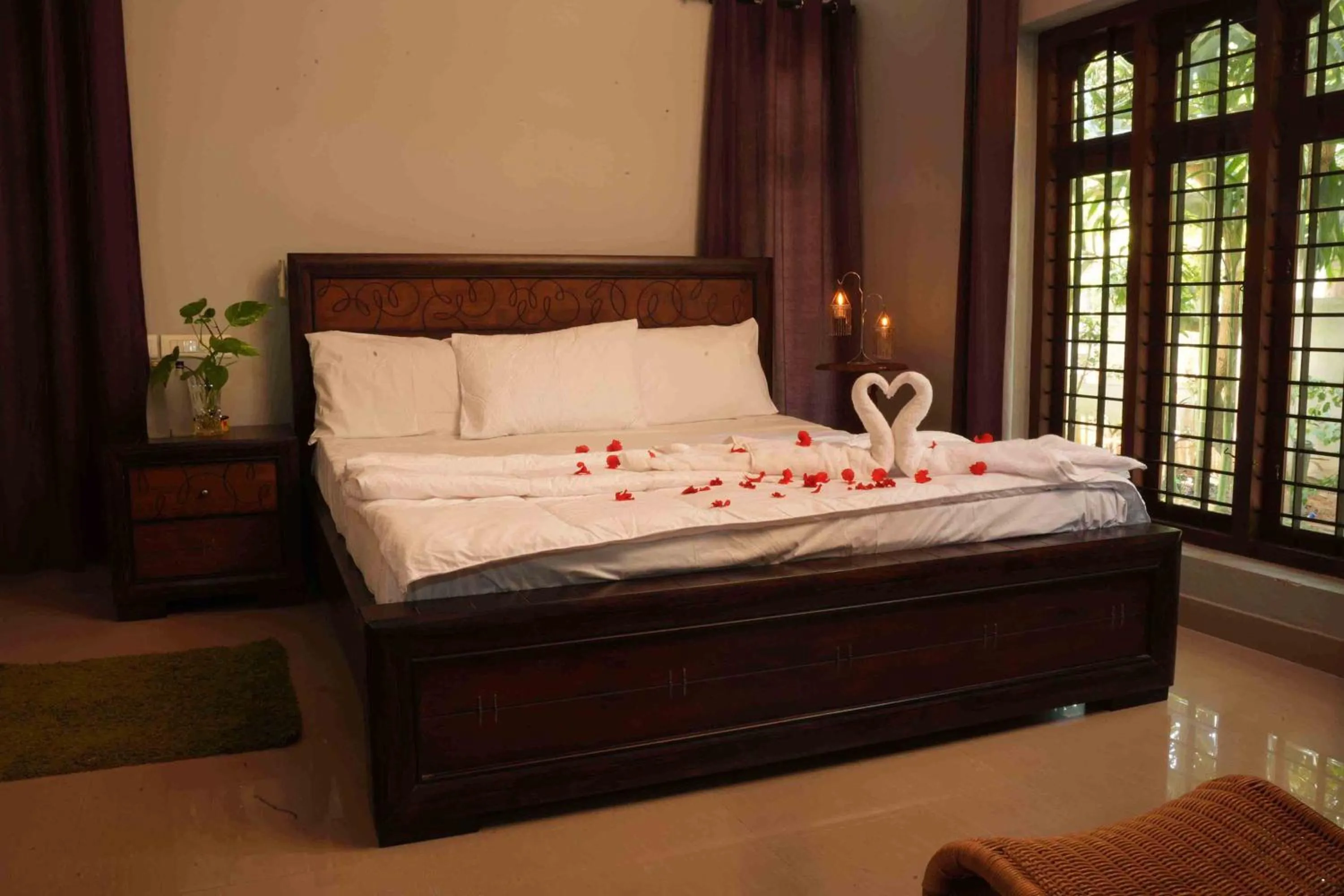 Bellevue Homestay and Wellness Centre