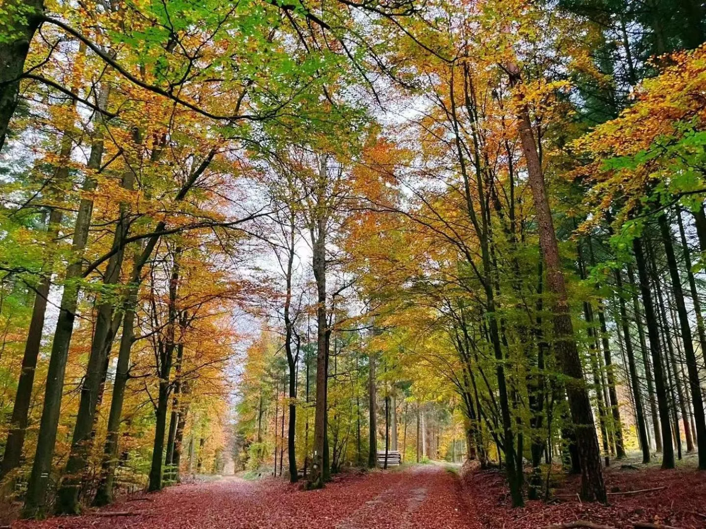 Hiking in Hotel Sonne