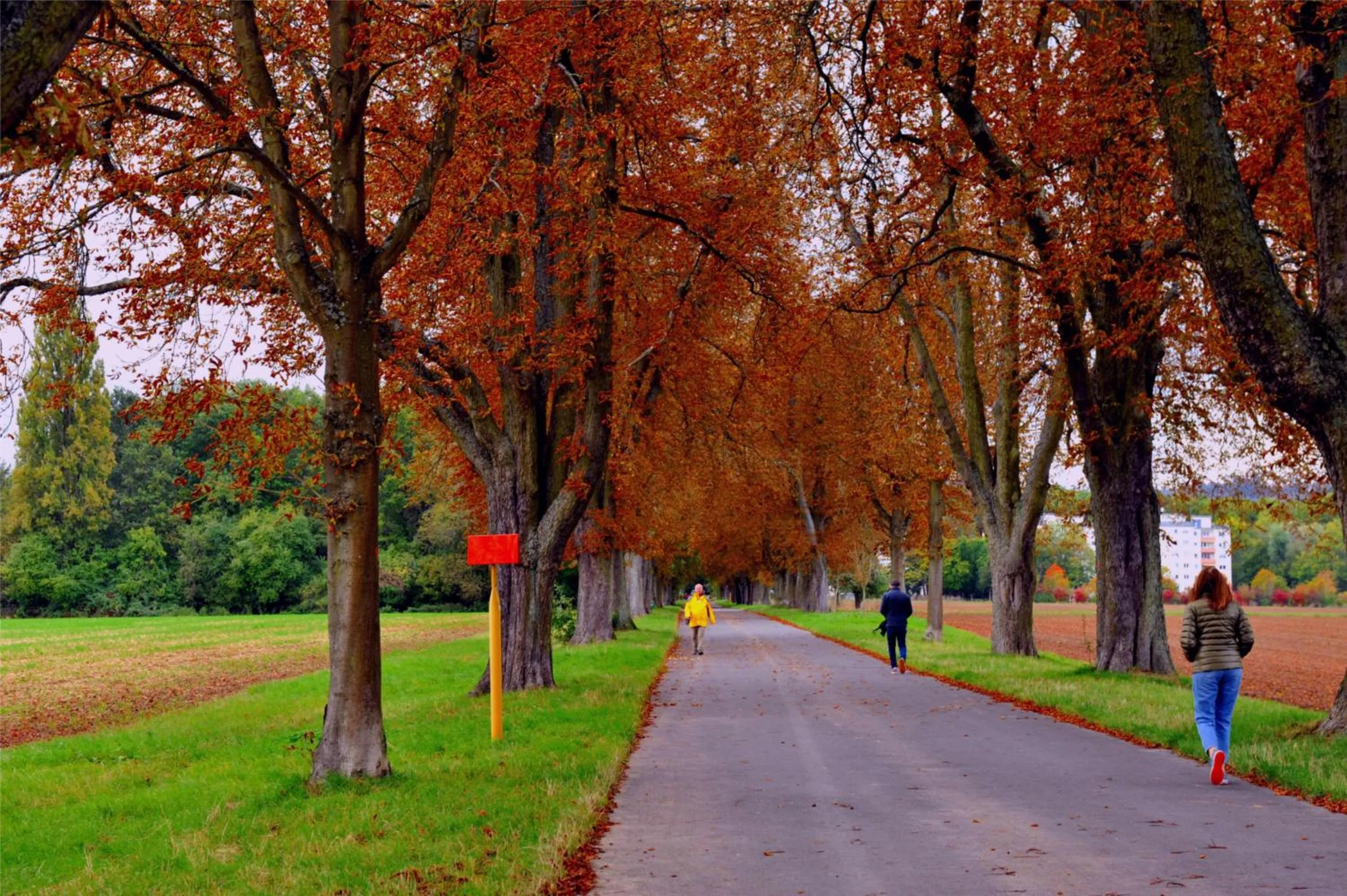 Hiking in Hotel Sonne