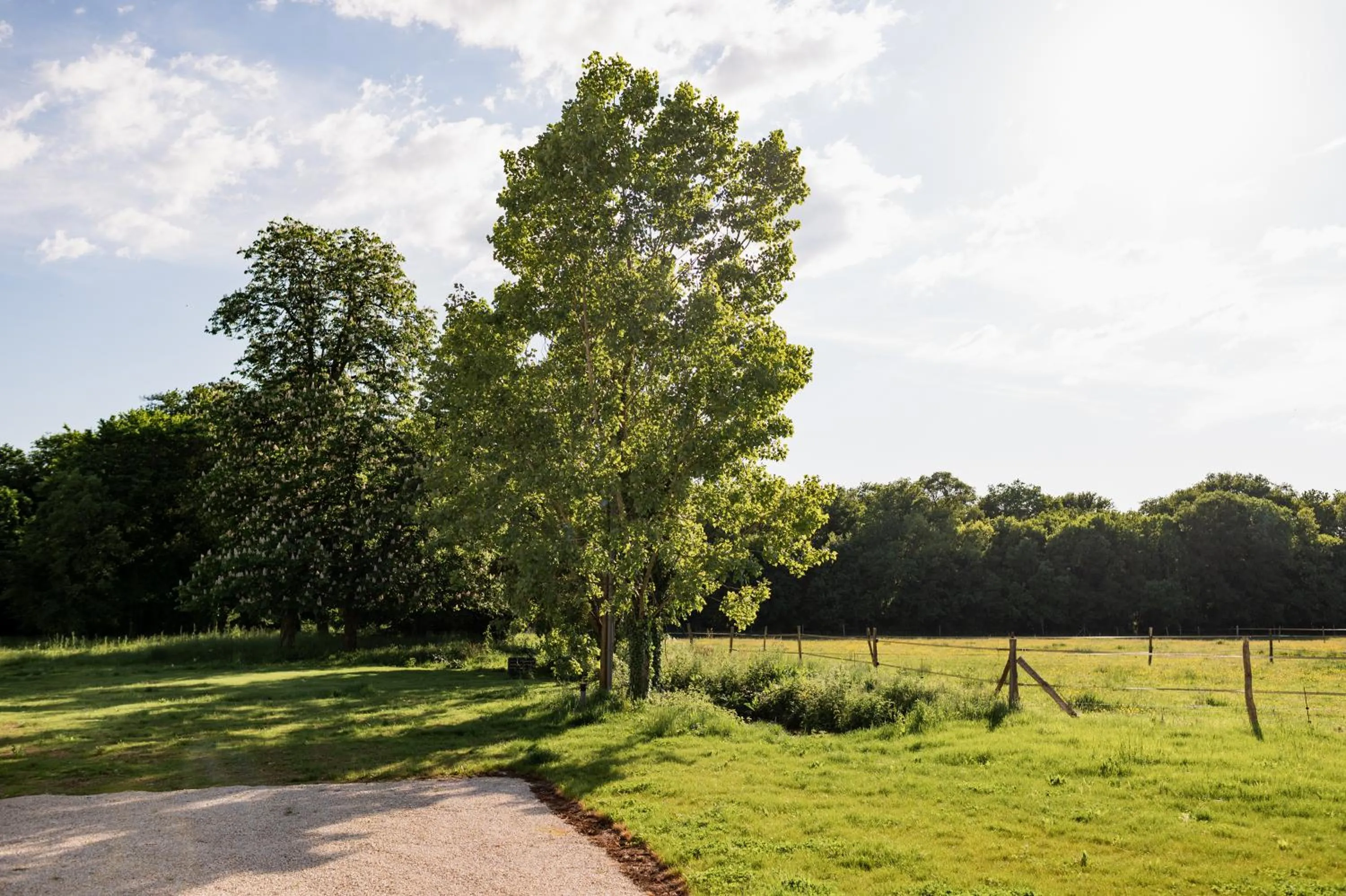 Garden in Domaine de l'Ecorcerie