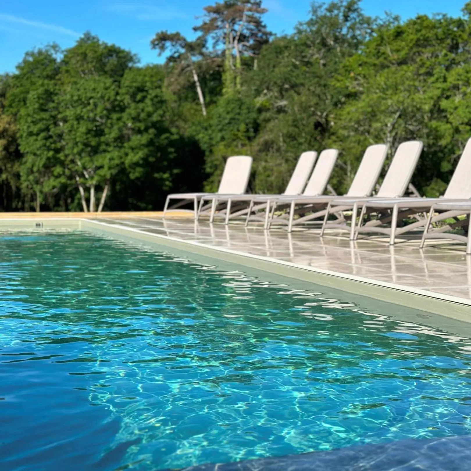 Swimming pool in Domaine de l'Ecorcerie