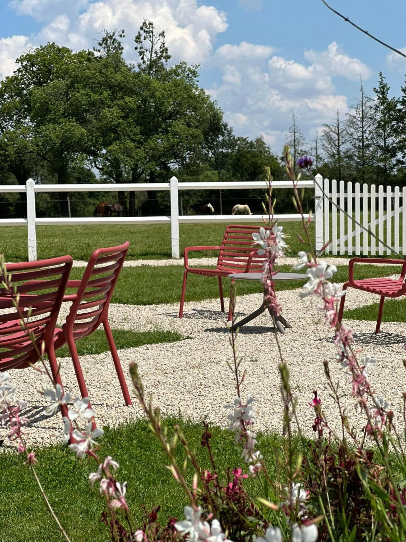 Garden in Domaine de l'Ecorcerie