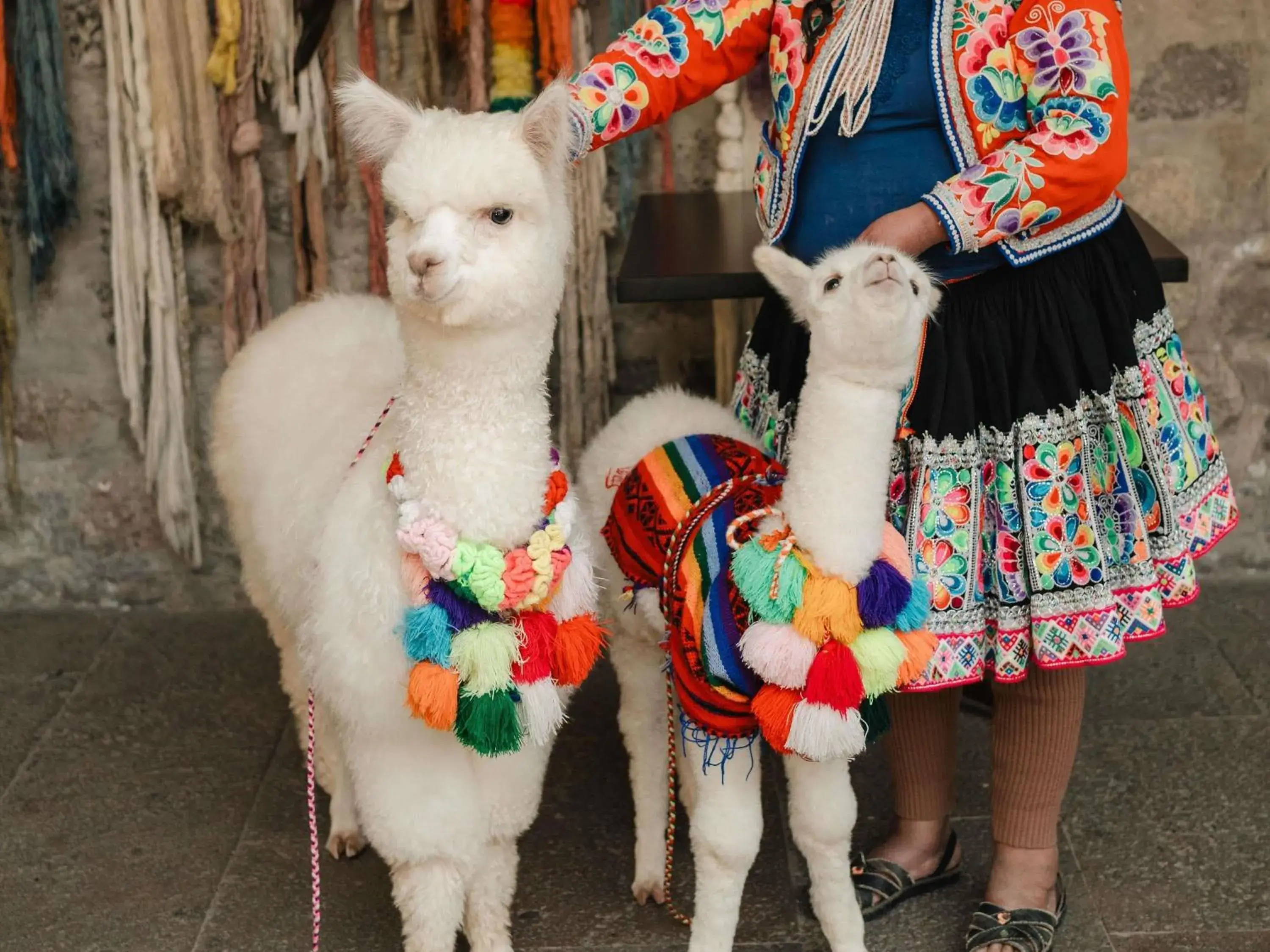 Property building in Novotel Cusco Property building in Novotel Cusco
