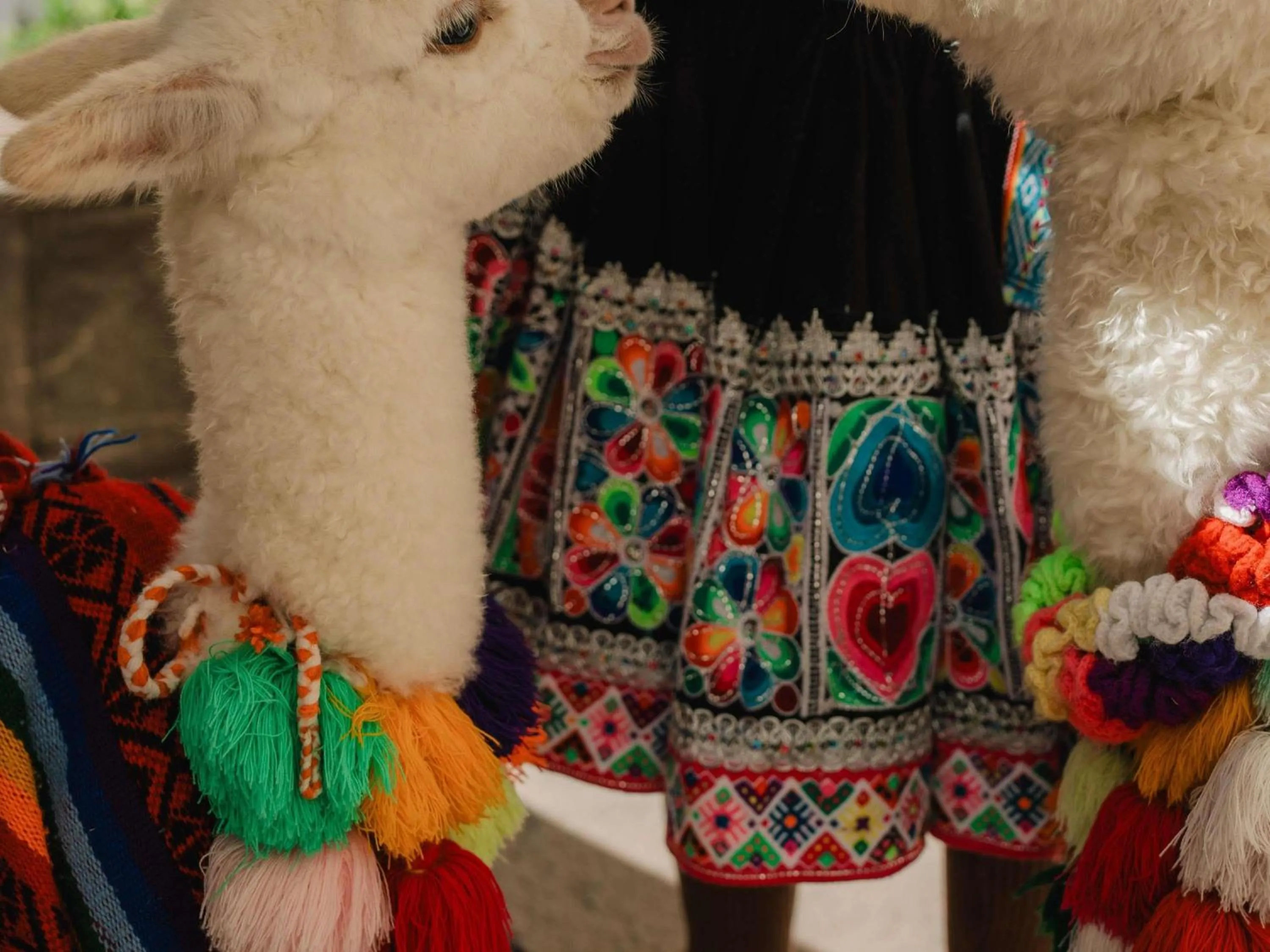 Property building in Novotel Cusco