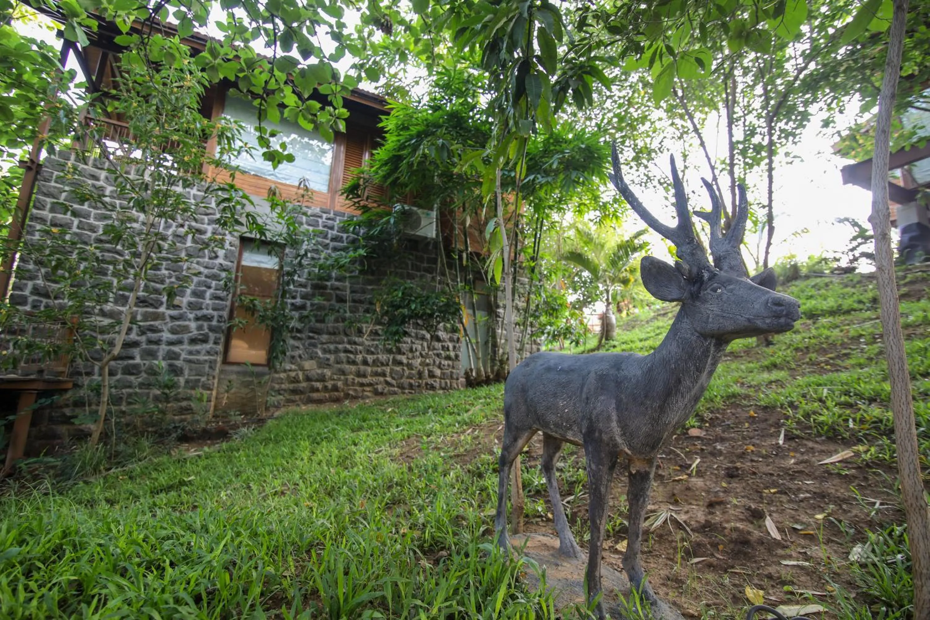 Garden view in Toyam by Orchid Hotels