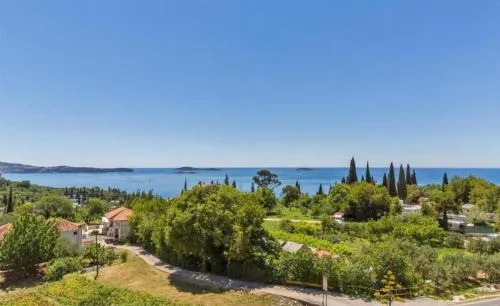 Apartments & Rooms Cakelic I