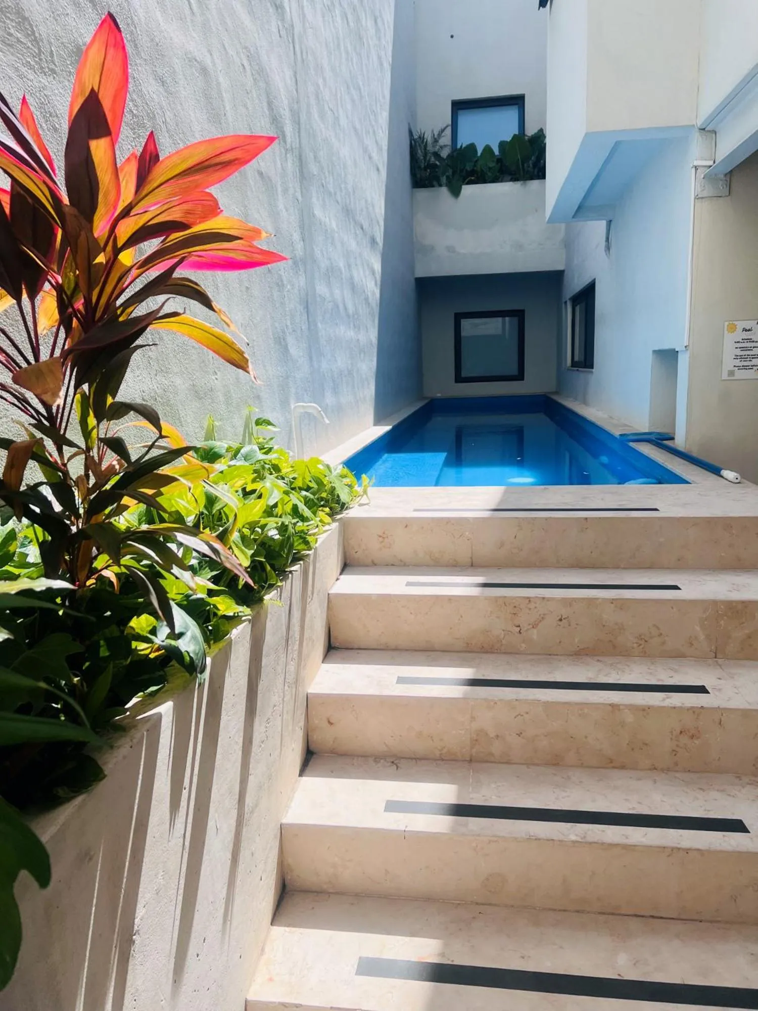 Swimming pool in Casa Ula