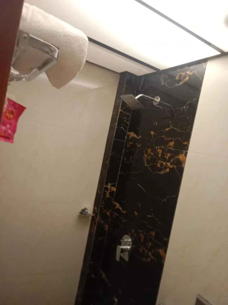 Shower in Hotel Pride Inn