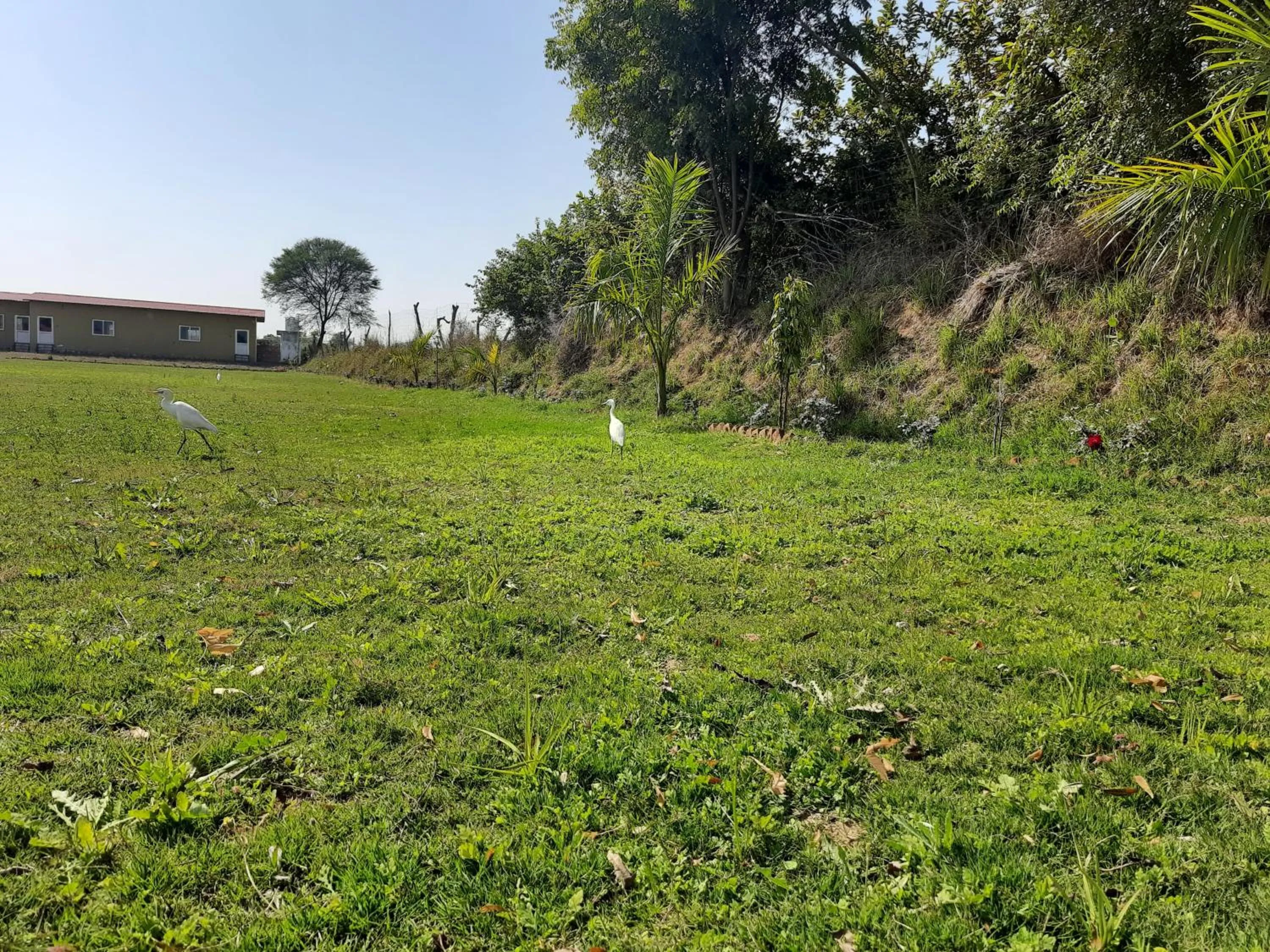 Natural landscape in Ranthambhore Tiger Village