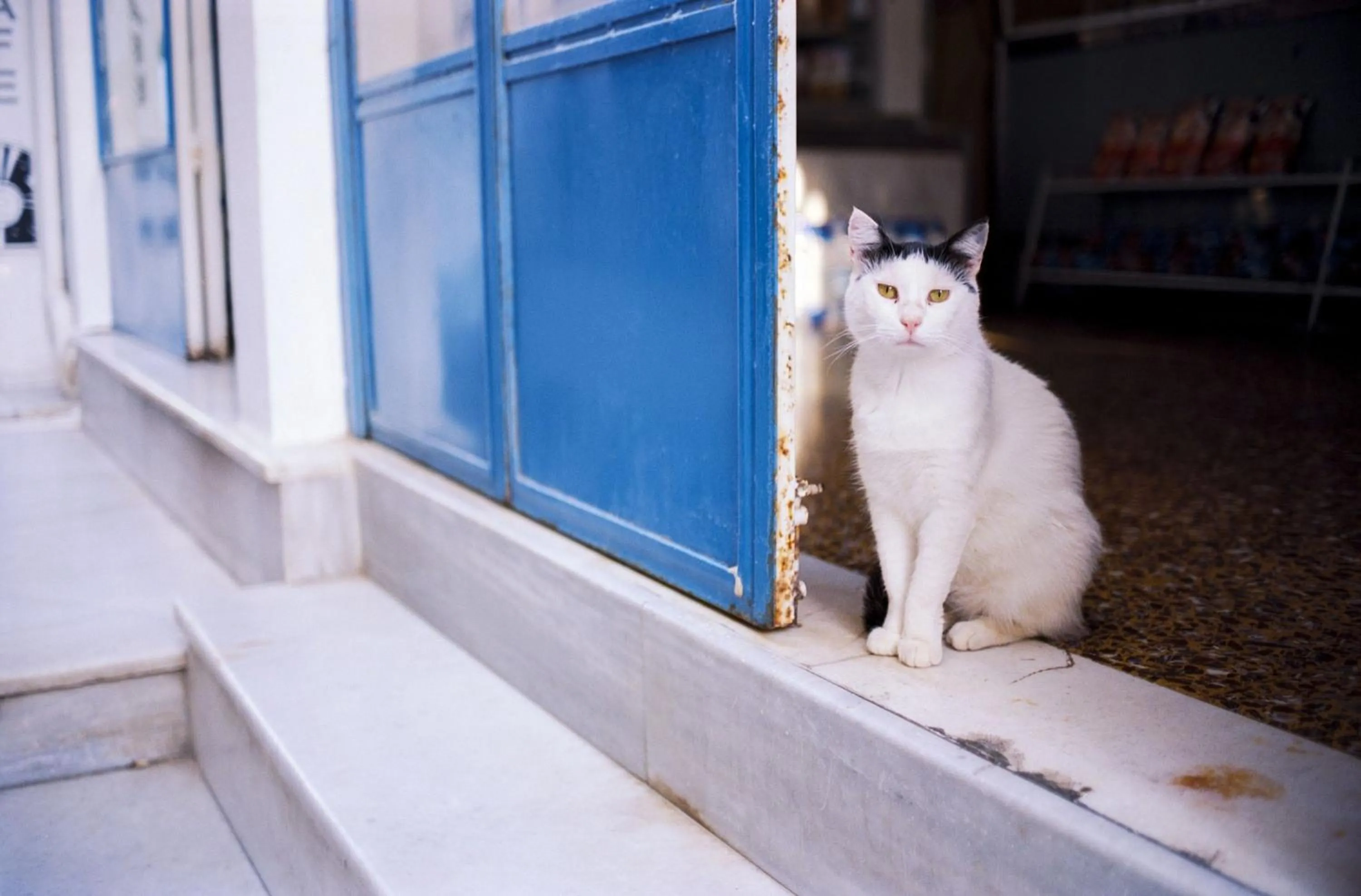 Superb Naxos Apartment Triple Studio Semi-Basement Private Balcony