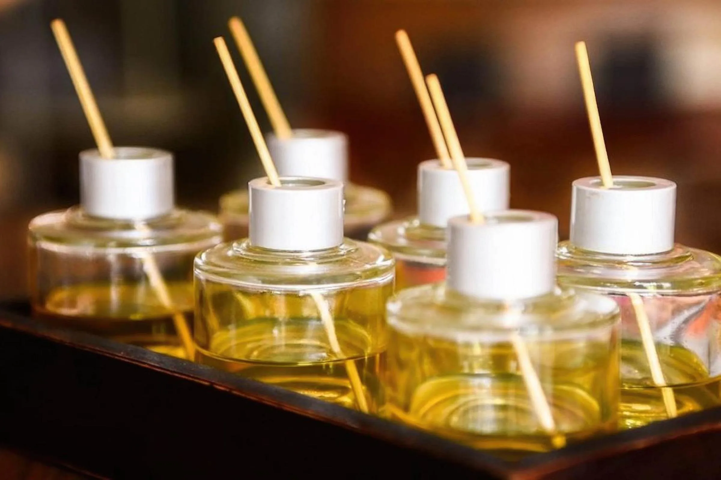 Massage in The Calm Oasis