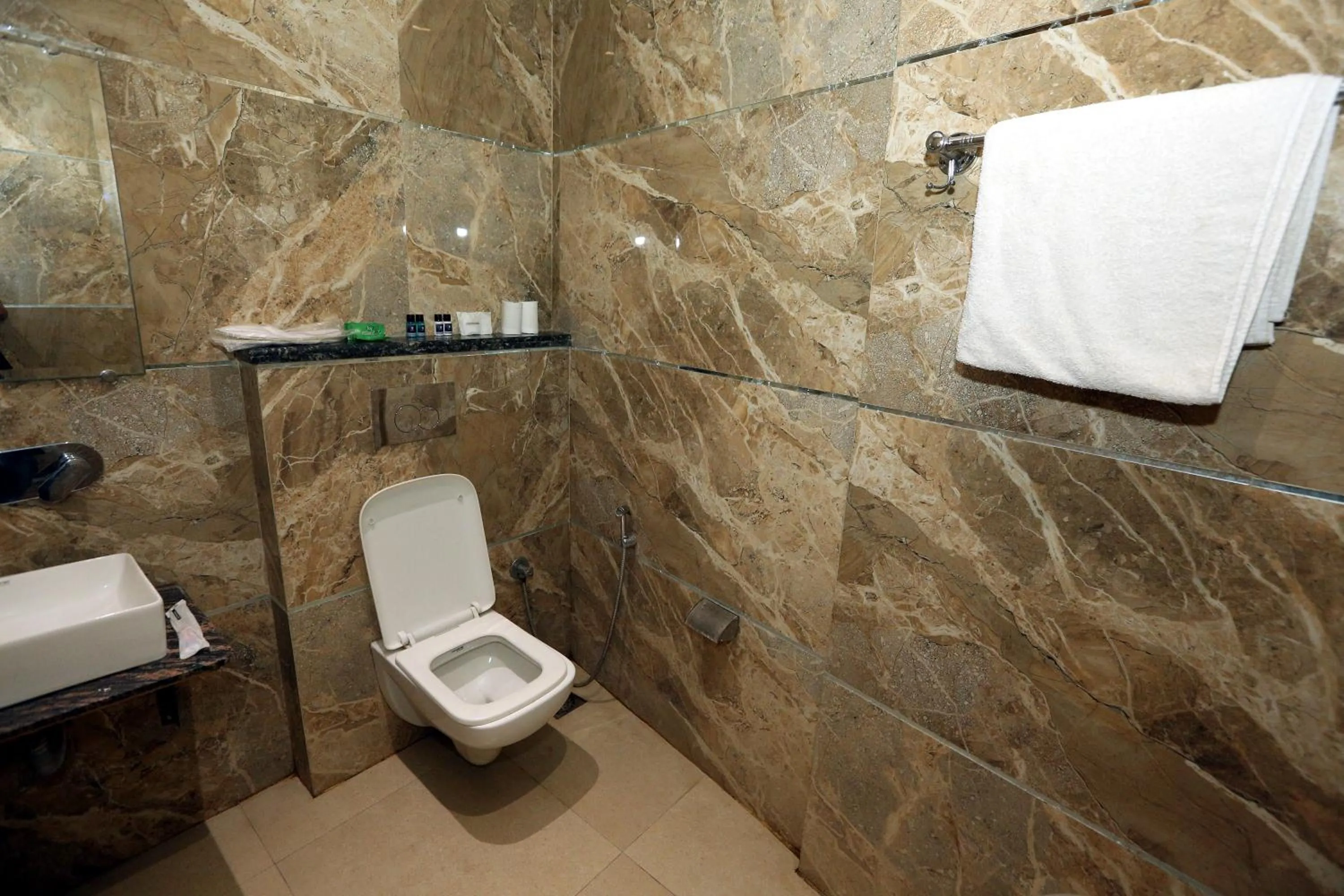 Bathroom in Hotel Tradition 50 mtr from Golden temple