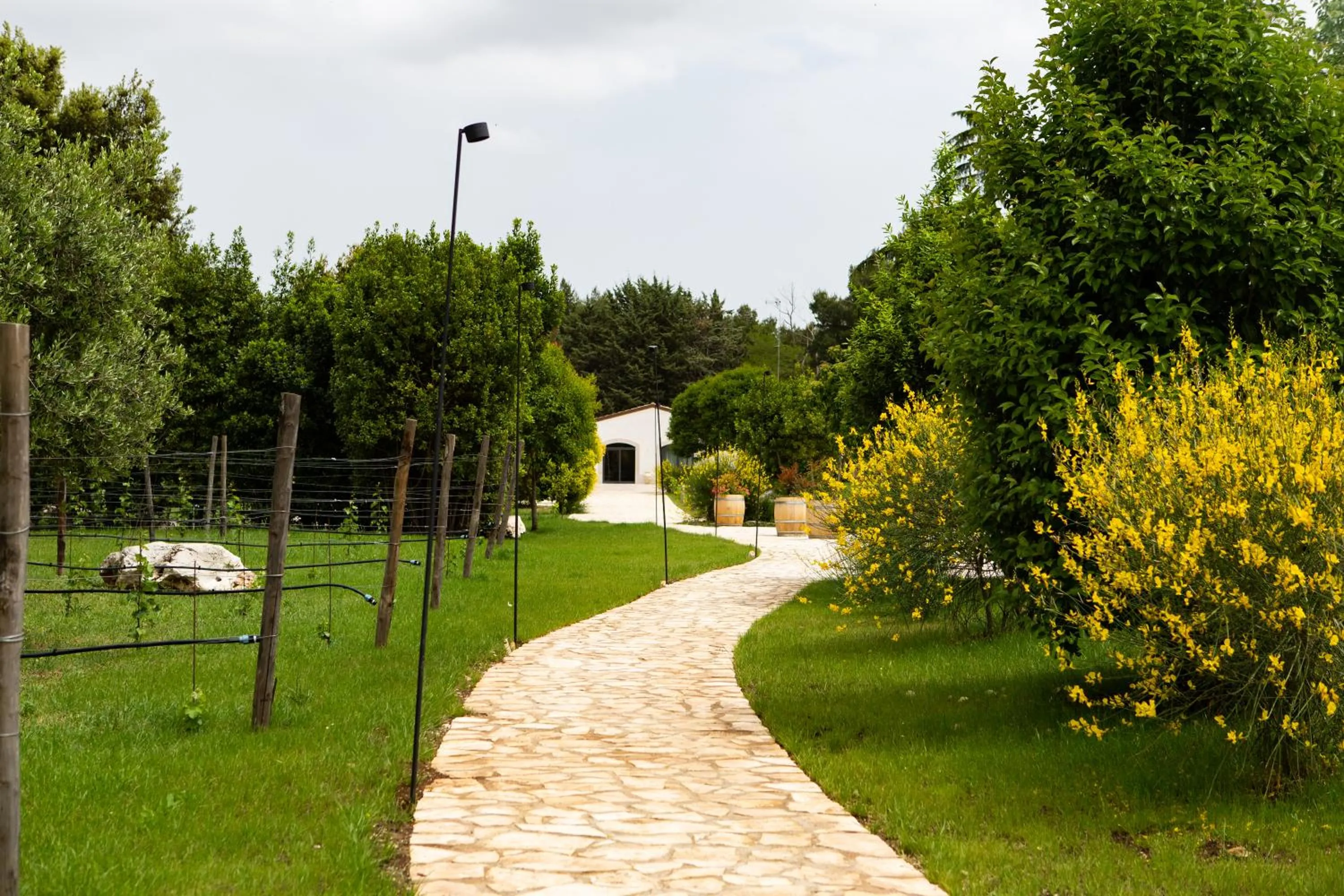 Property building in WINE RESORT LE VIGNE AL CASTELLO